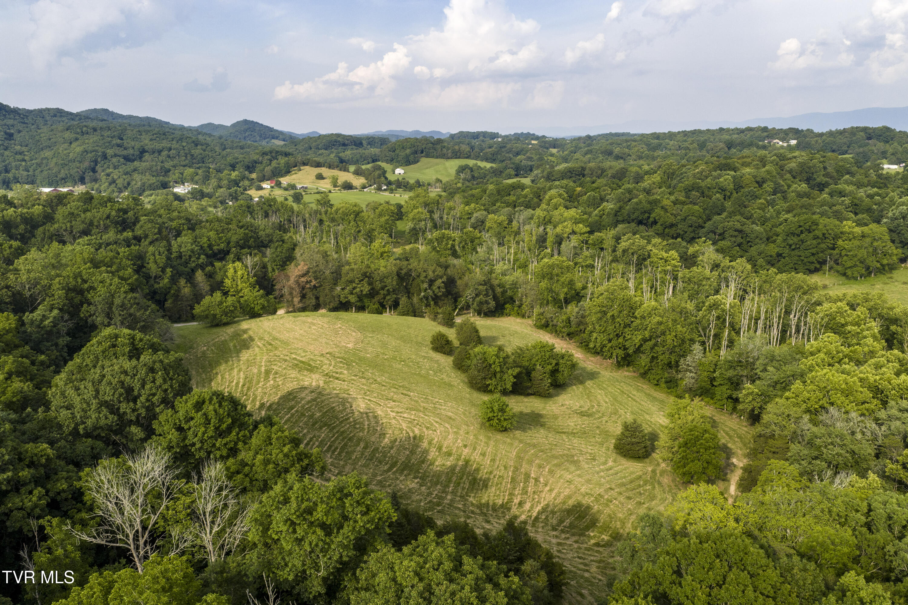 Piney Flats, Tennessee, 37686, United States, ,Land,For Sale,1983828