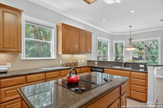 Boerne, Texas, 78015, United States, 4 Bedrooms Bedrooms, ,4 BathroomsBathrooms,Residential,For Sale,1939899