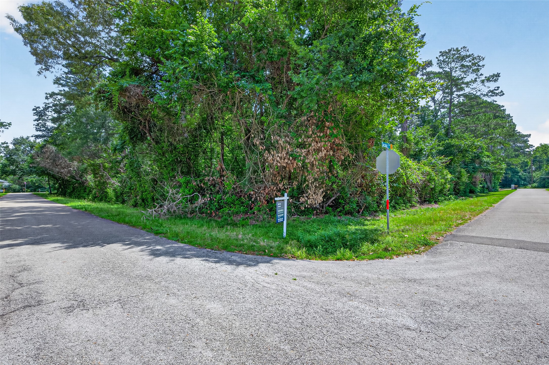  2407 Decatur Court - 物件實景