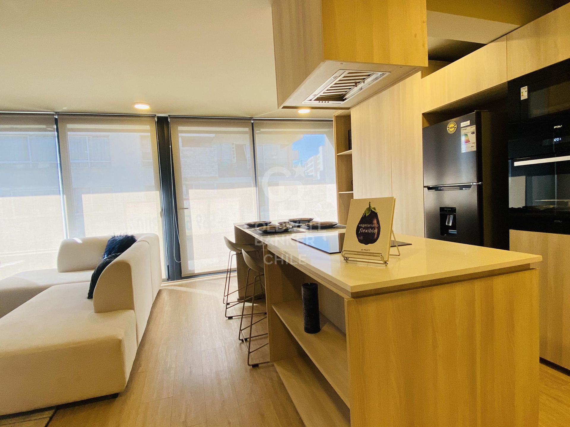 Providencia, Chile, 2 Bedrooms Bedrooms, ,3 BathroomsBathrooms,Residential,For Sale,1752496