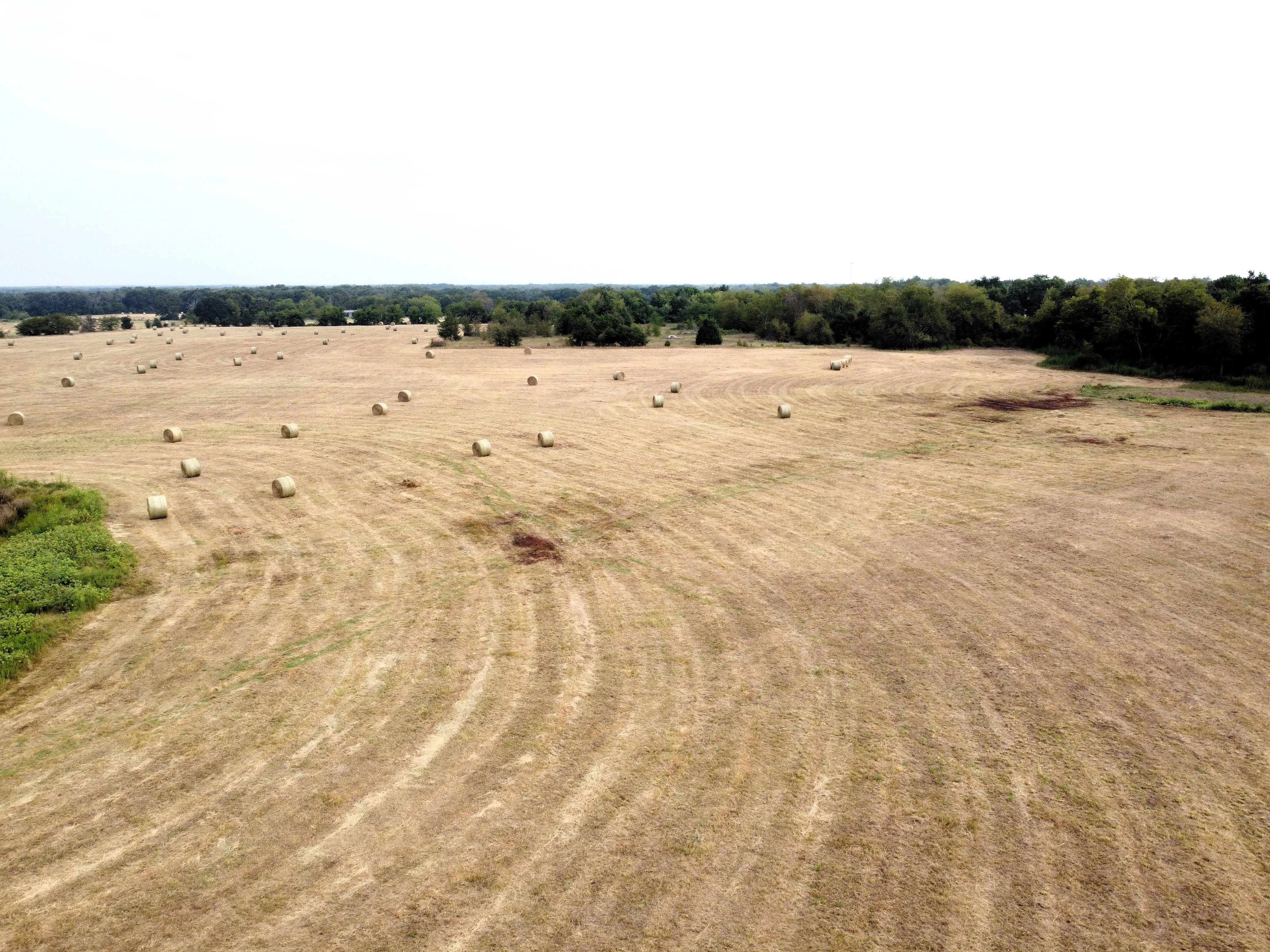 Cumby, Texas, 75433, United States, ,Land,For Sale,1987346