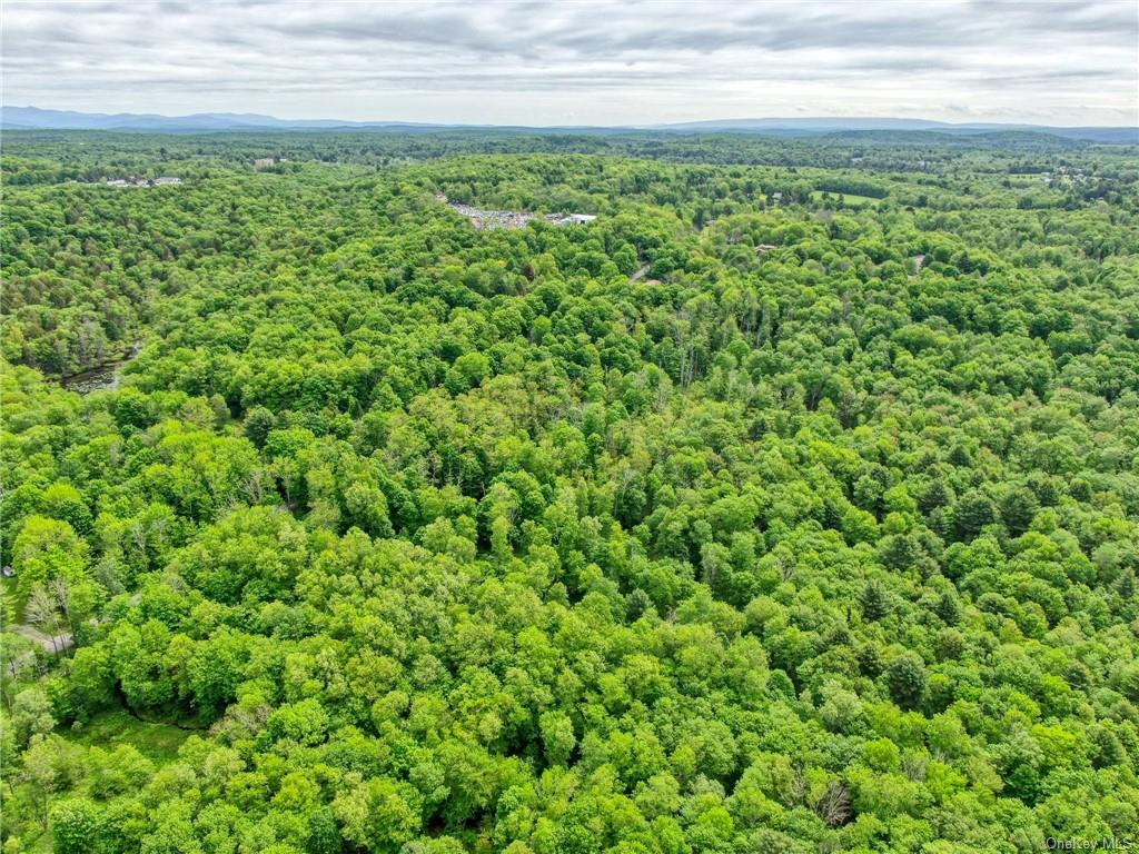 Monticello, New York, 12701, United States, ,Residential,For Sale,1980735