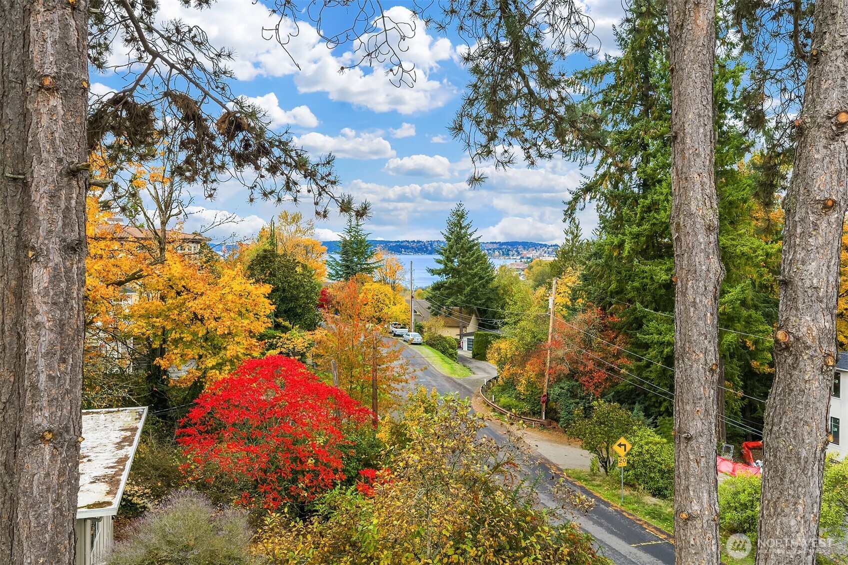 Bellevue, Washington, 98004, United States, ,Land,For Sale,1987927