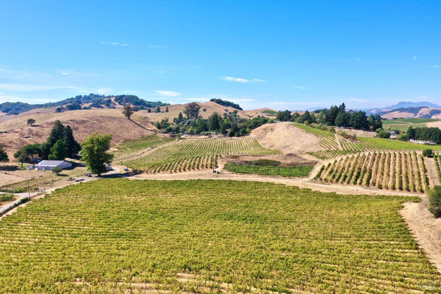 Santa Rosa, California, 95404, United States, 5 Bedrooms Bedrooms, ,4 BathroomsBathrooms,Residential,For Sale,1986461