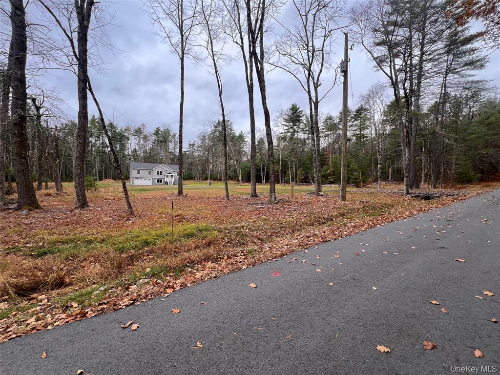 Yulan, New York, 12719, United States, 3 Bedrooms Bedrooms, ,3 BathroomsBathrooms,Residential,For Sale,1982353