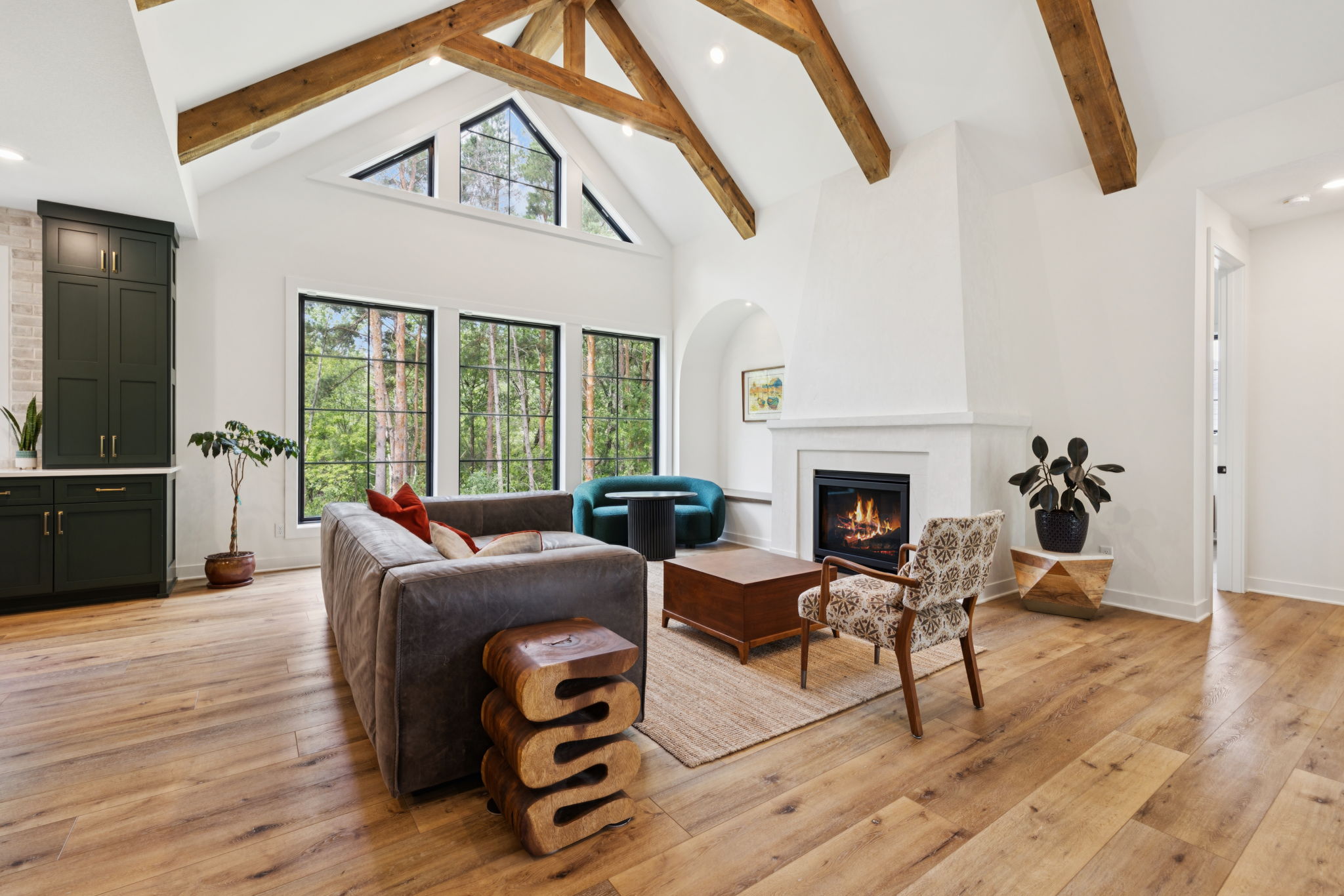  Modern Tudor Masterpiece in Lake Elmo - 物件實景