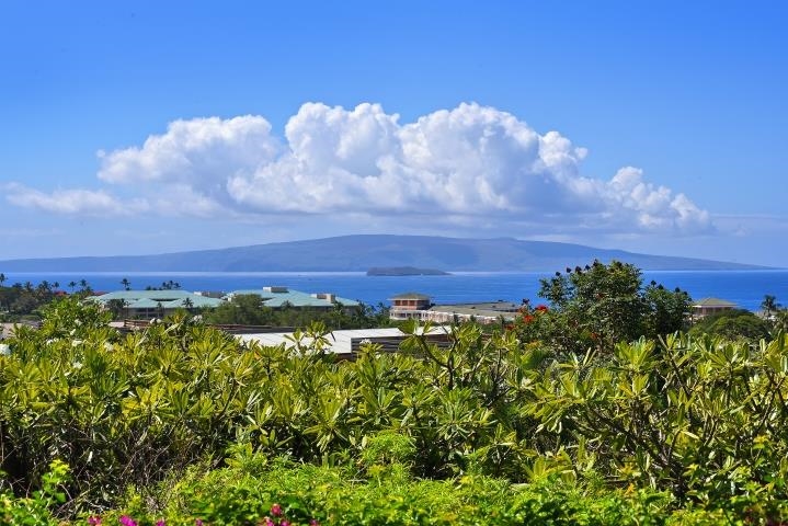 Kihei, Hawaii, 96753, United States, 2 Bedrooms Bedrooms, ,2 BathroomsBathrooms,Residential,For Sale,2000743