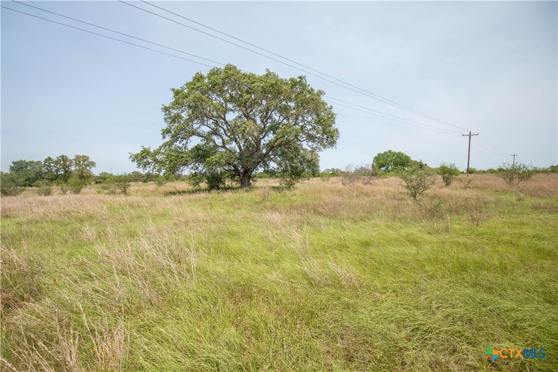 Cuero, Texas, 77954, United States, ,Residential,For Sale,1950887