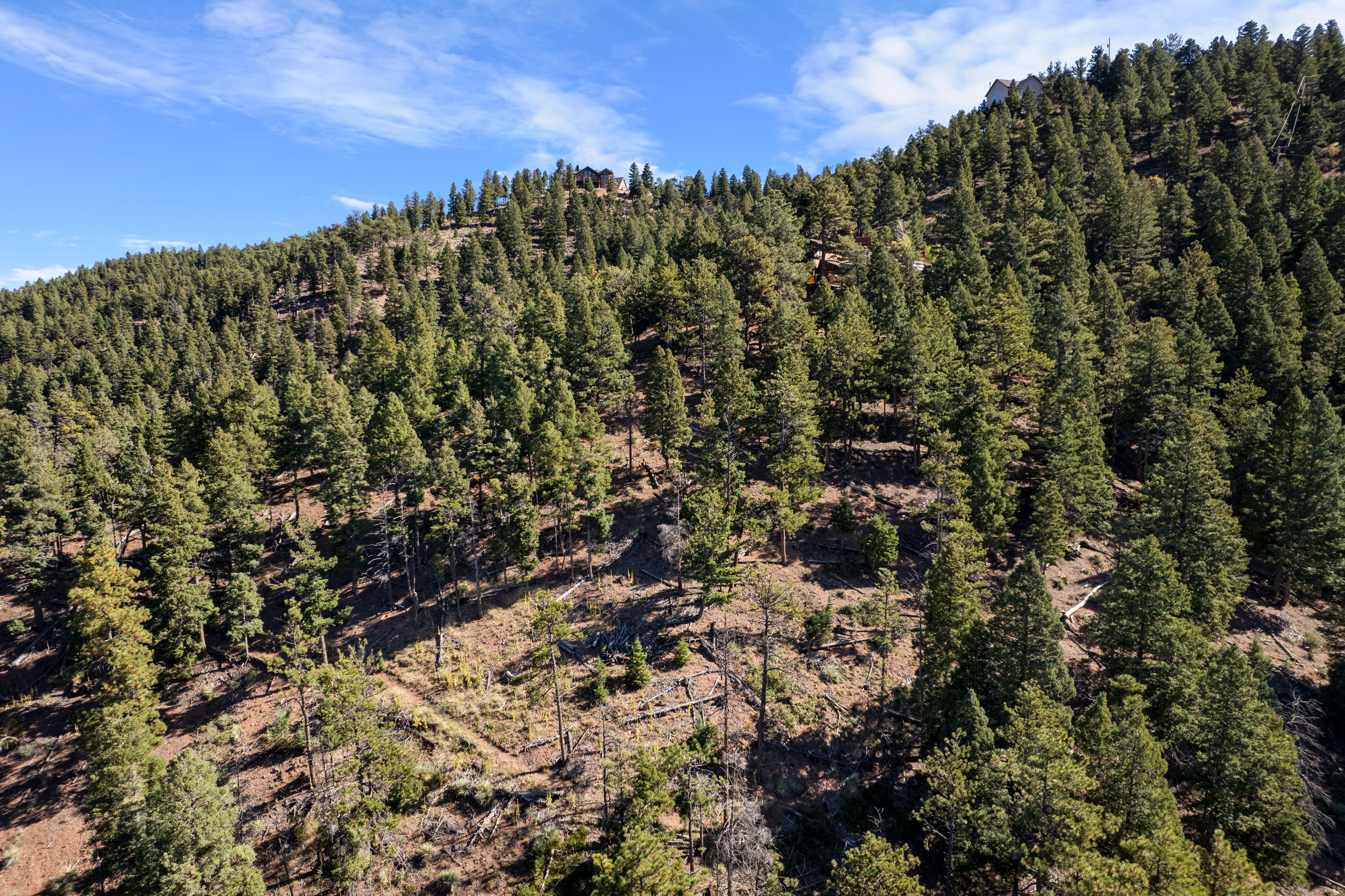  Nestled in the serene Woodmoor Mountain - 物件實景