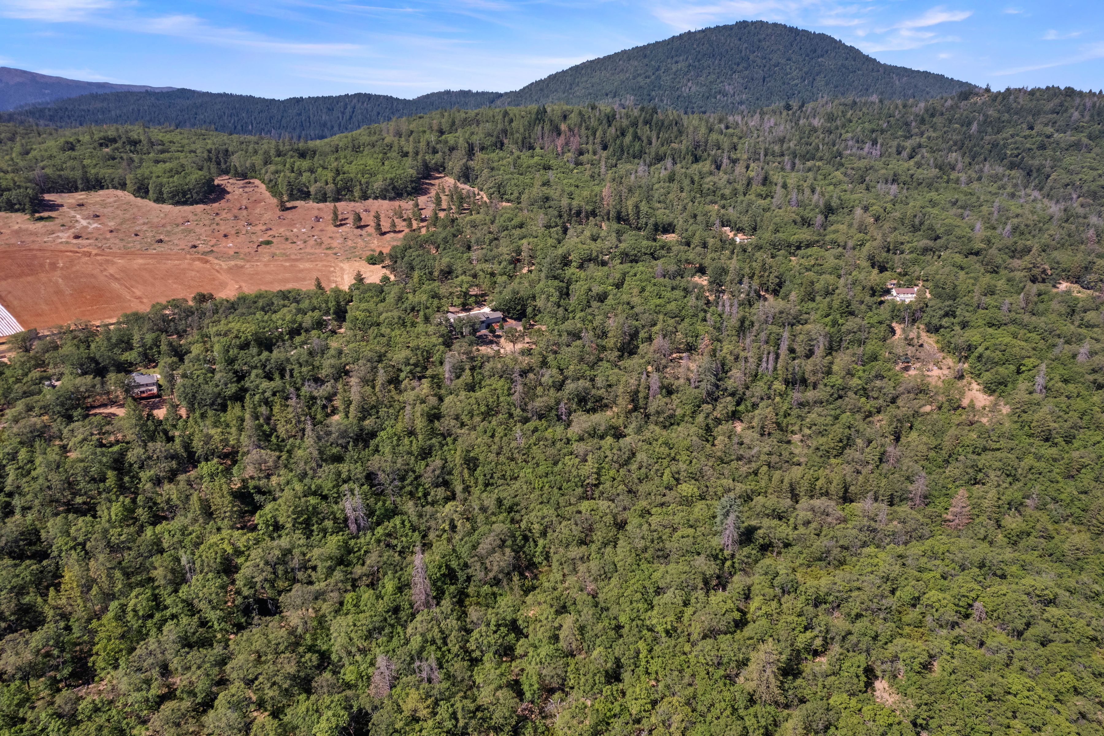  10550 Seigler Springs North Road - 物件實景