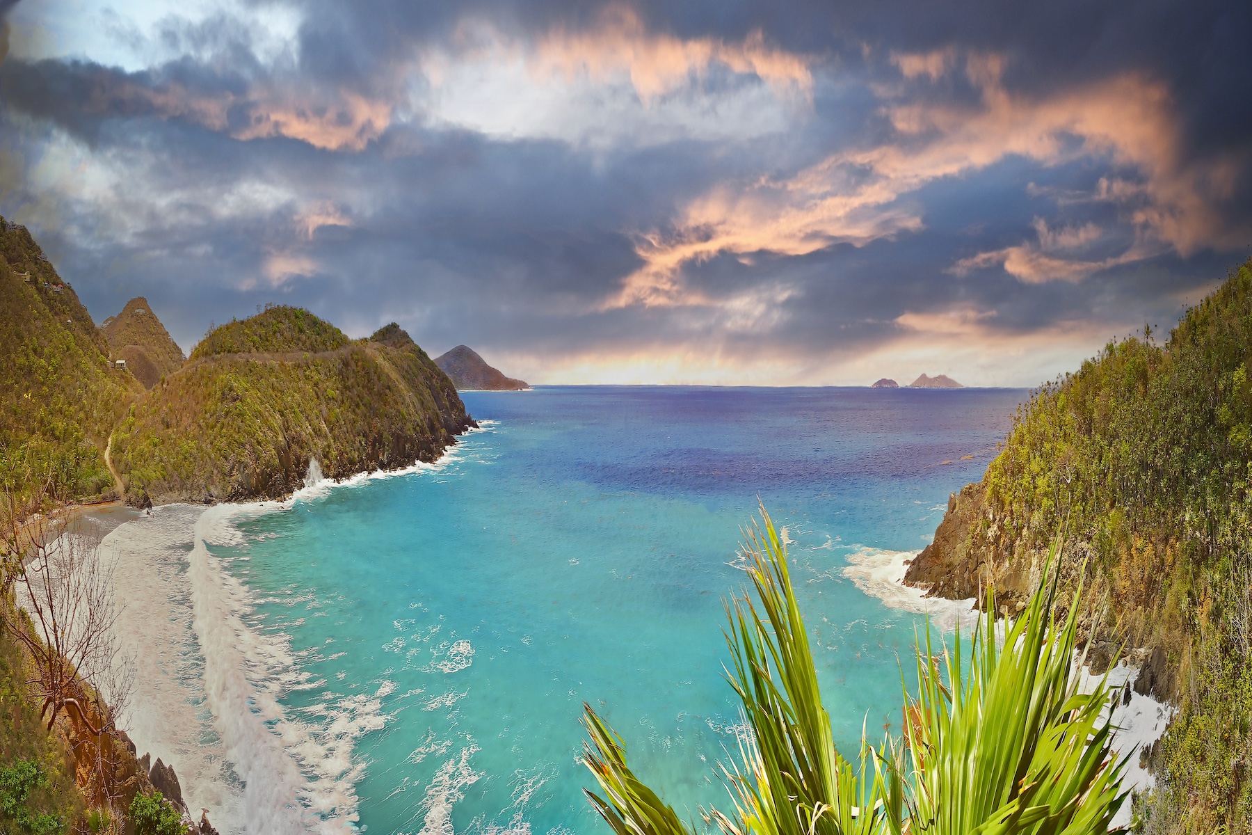  Paradise Palms - 物件實景