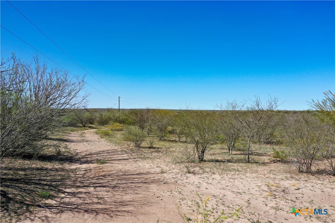 George West, Texas, 78022, United States, ,Land,For Sale,1738703