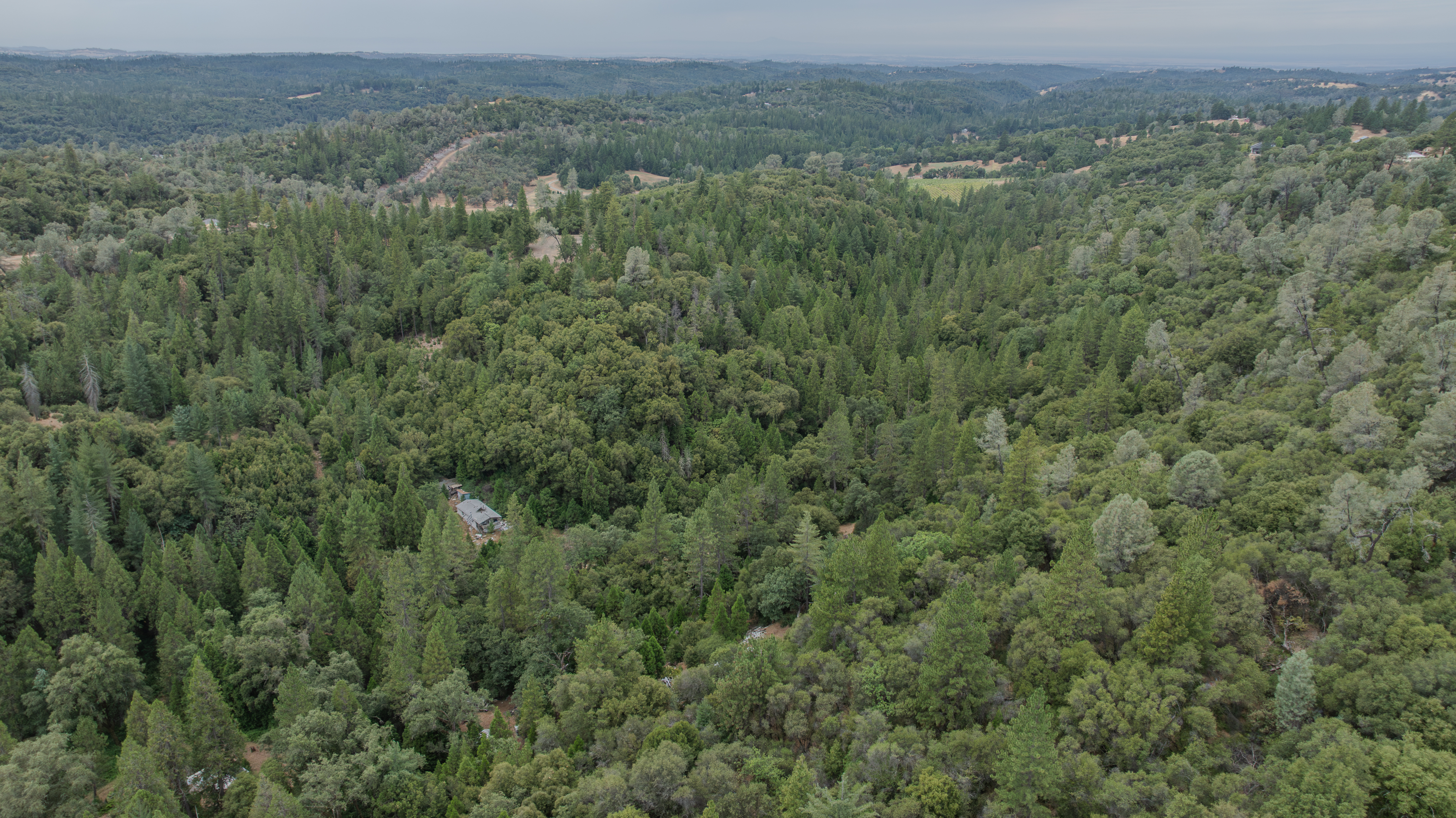  18101 Old River Road, Fiddletown, CA 95629 - 物件實景