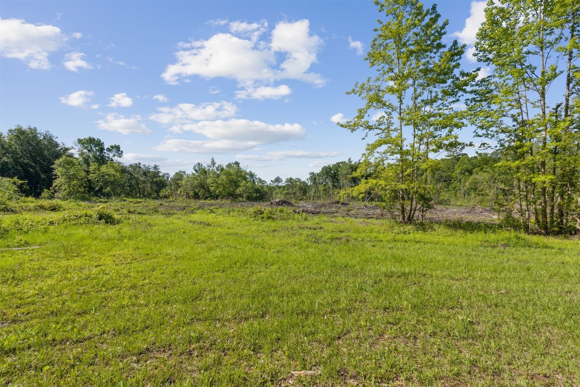 Hilliard, Florida, 32046, United States, 5 Bedrooms Bedrooms, ,3 BathroomsBathrooms,Residential,For Sale,1975906