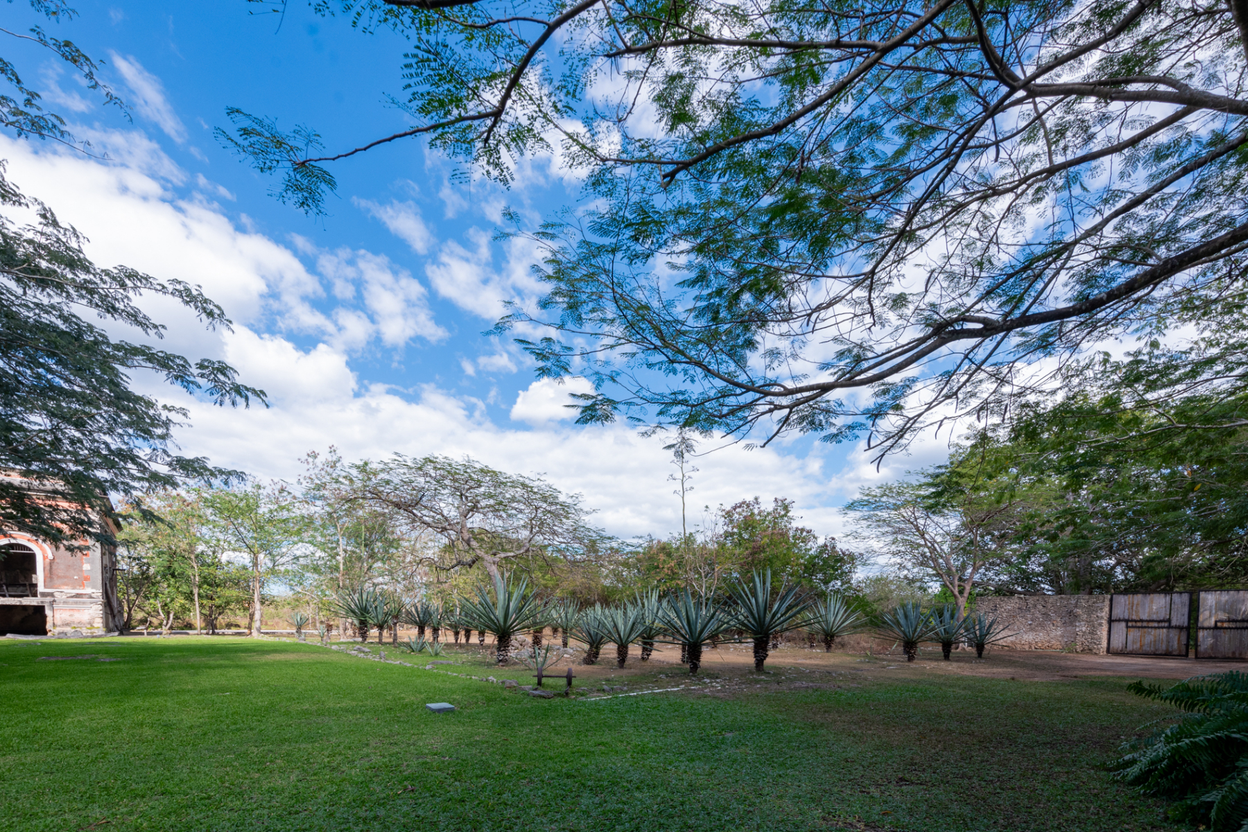  HACIENDA SERENITY OASIS RETREAT IN YUCATAN - 物件實景