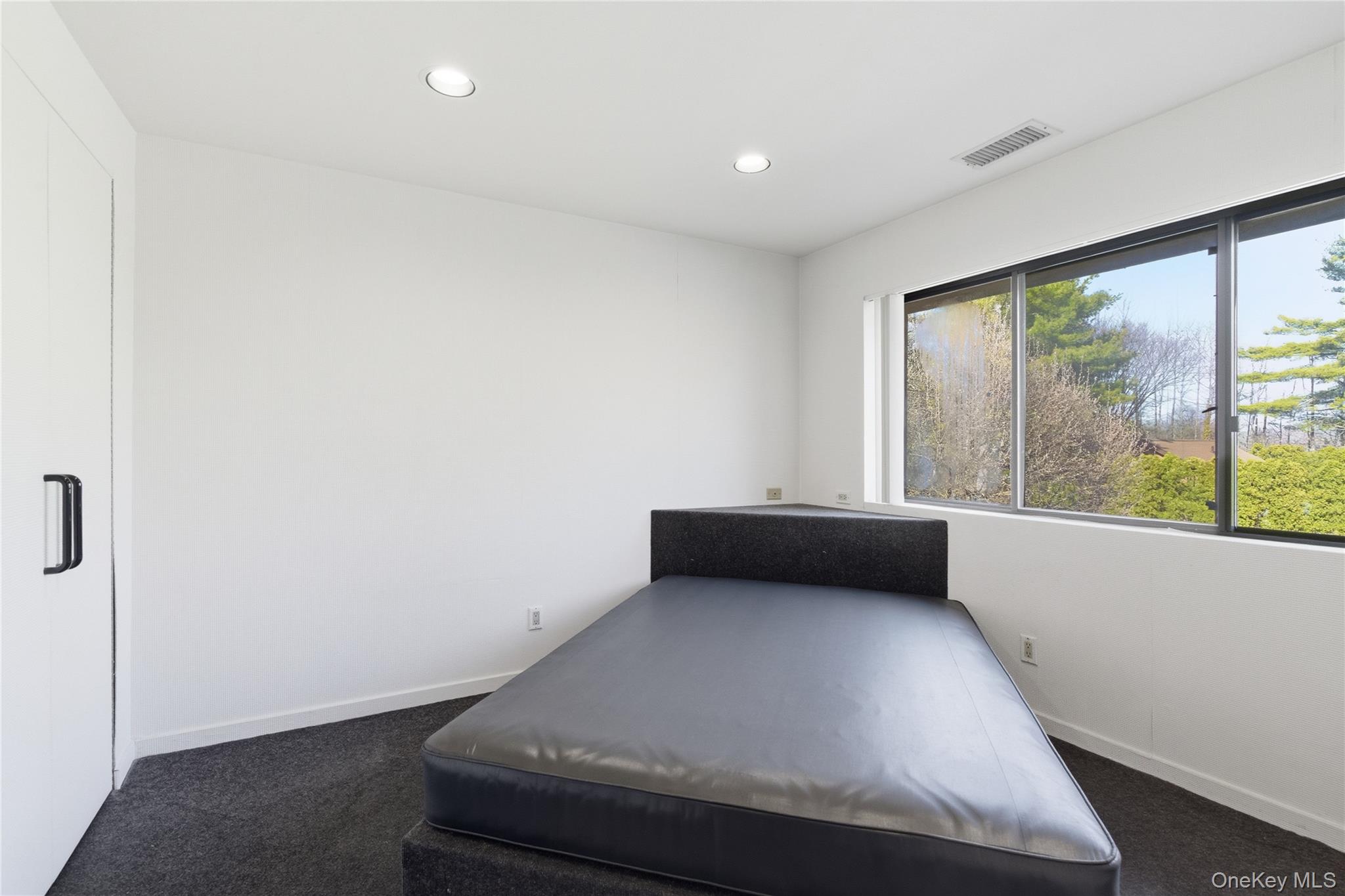  30 Yale Drive, Manhasset, NY, 11030 - 物件實景