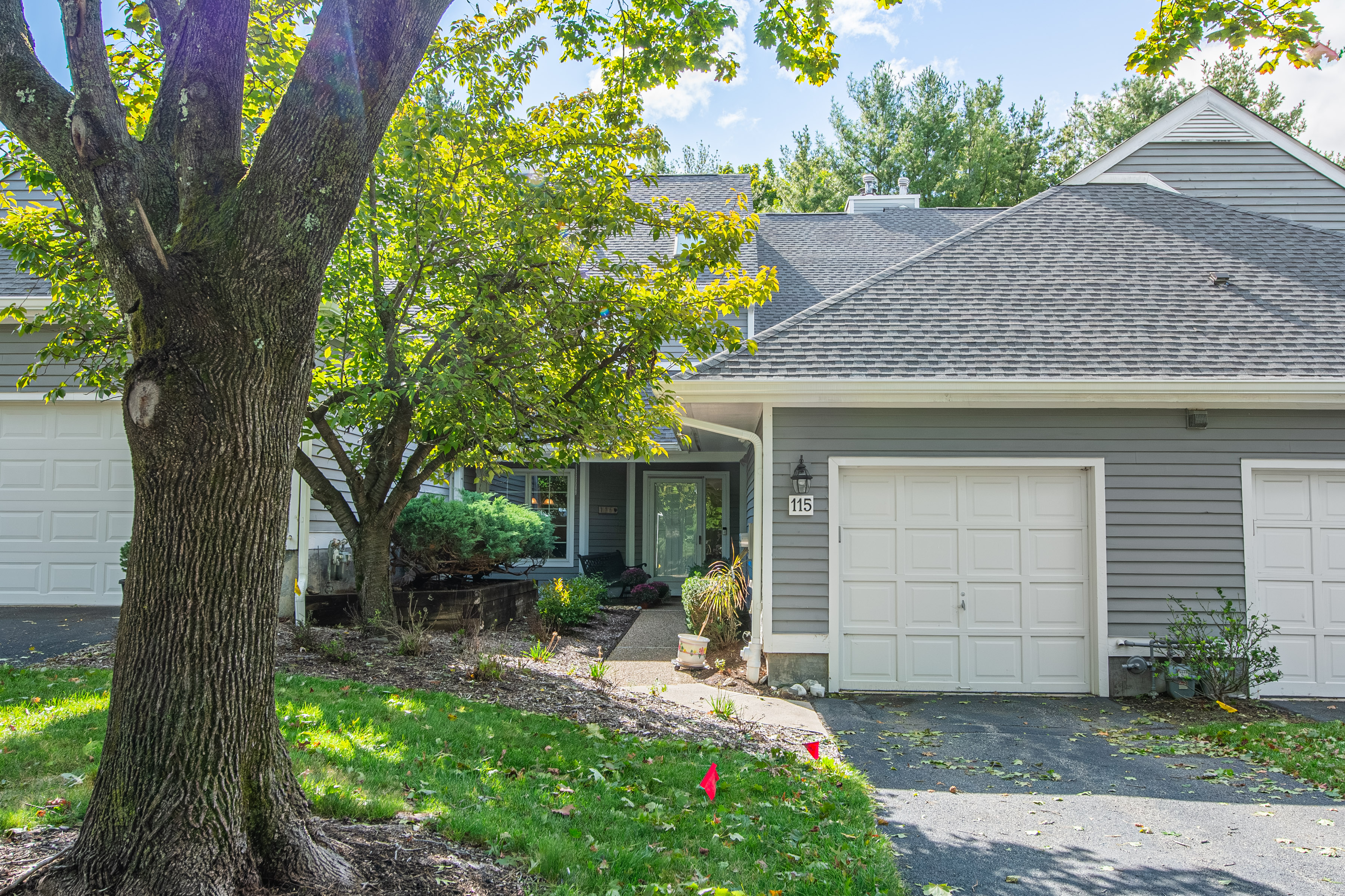  115 Ridge Drive, Montville, NJ 07045 - 物件實景