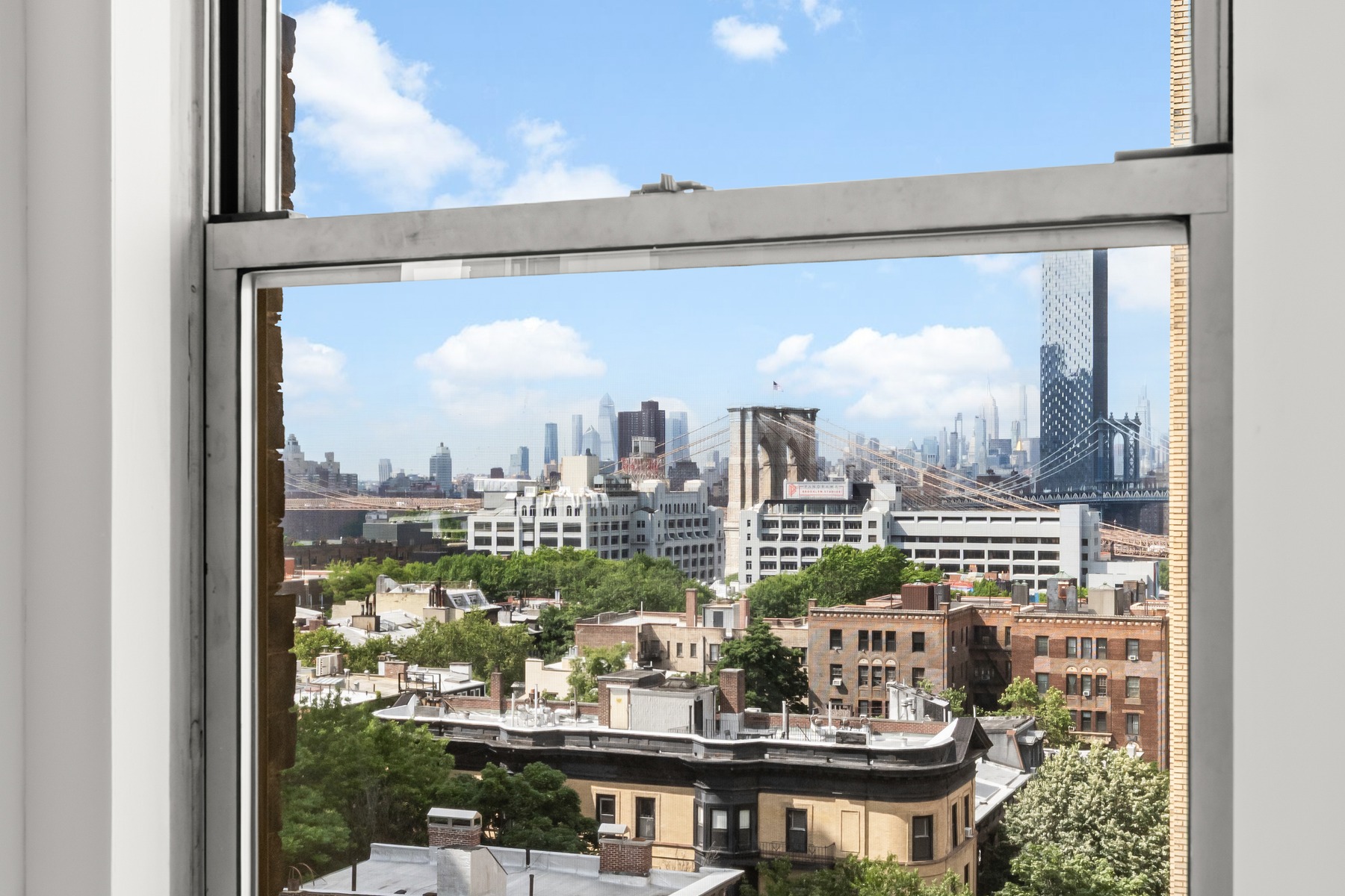  111 Hicks St. 9d, Brooklyn, NY, 11201 - 物件實景