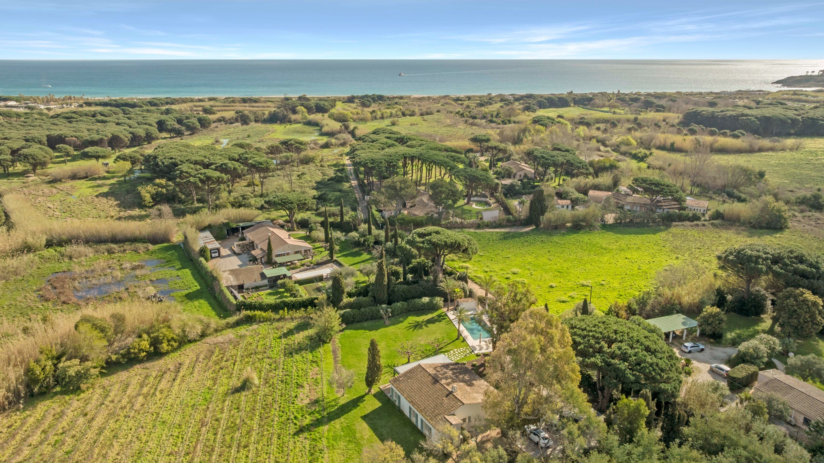  Ramatuelle Pampelonne villa 162 sqm vineyard land 7130 sqm pool near beach - 物件實景