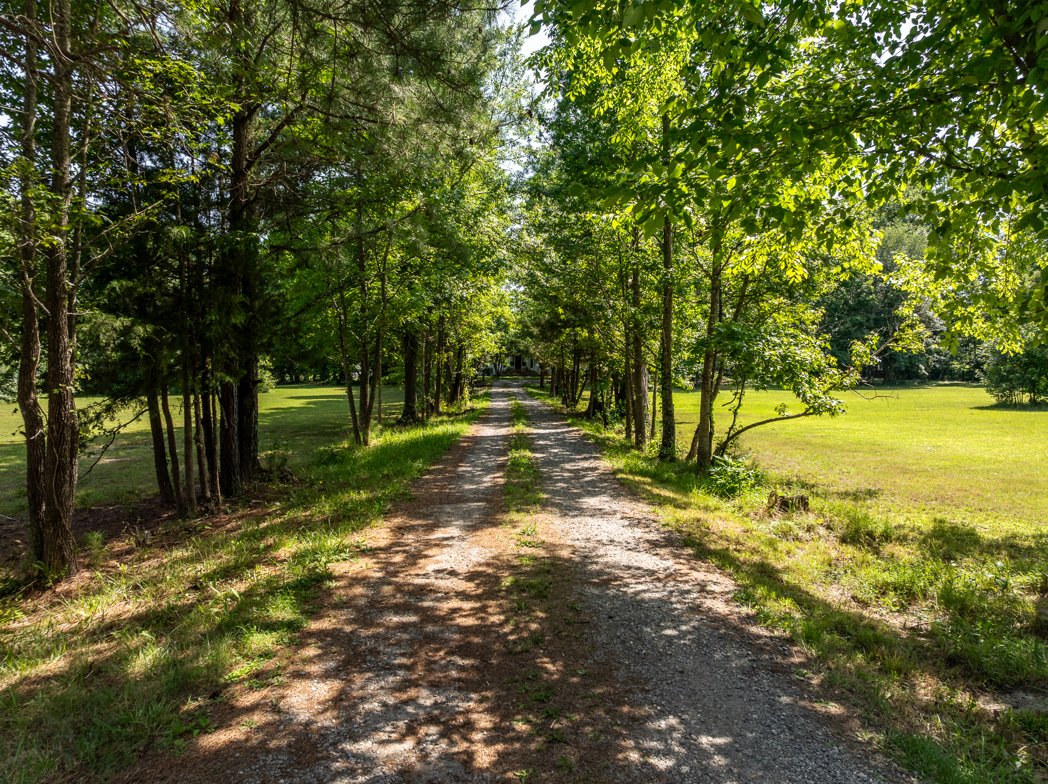  12289 Cedar Lane, Hanover, VA 23005 - 物件實景