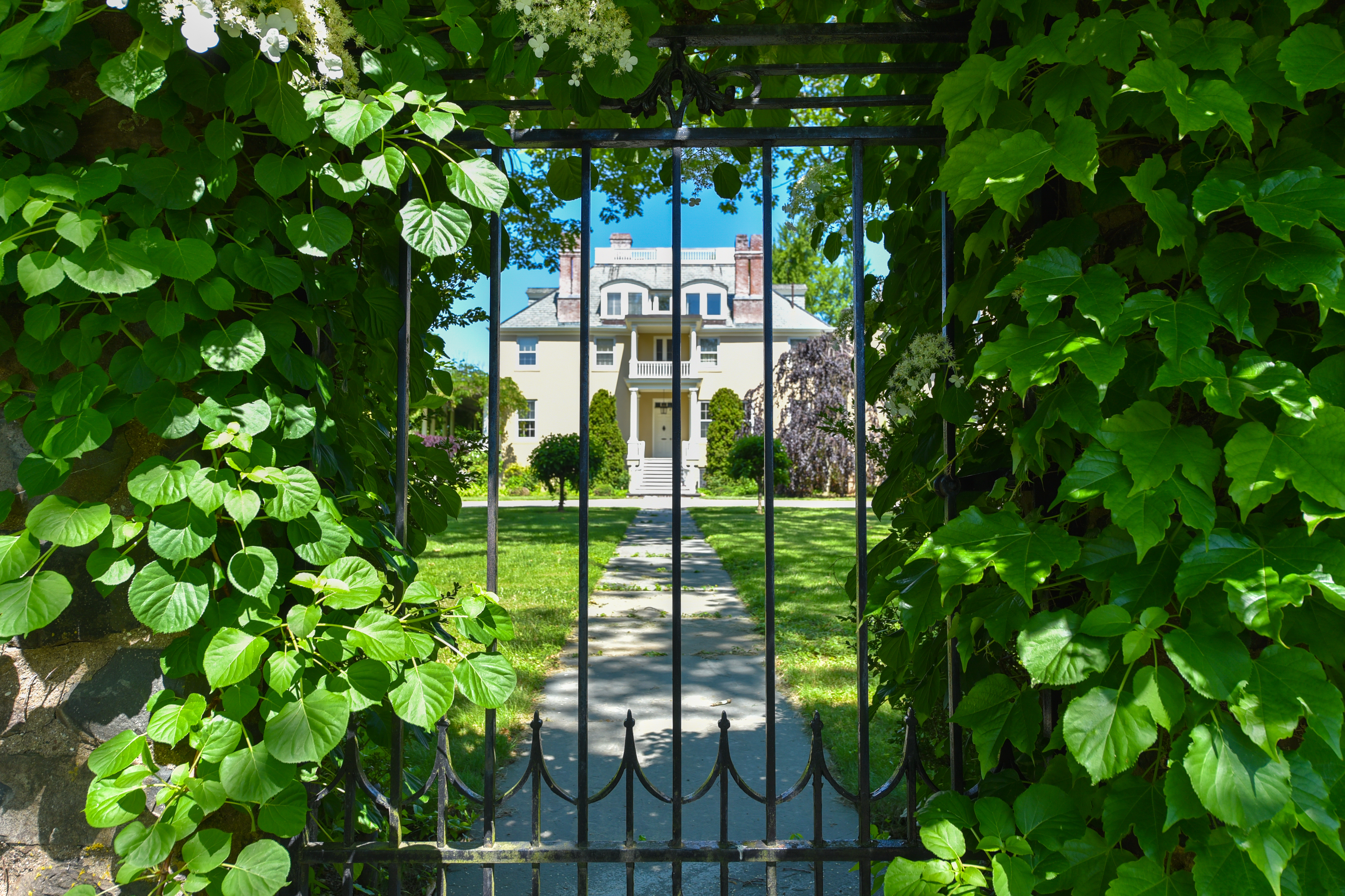  11 Mountain Spring Road - 物件實景