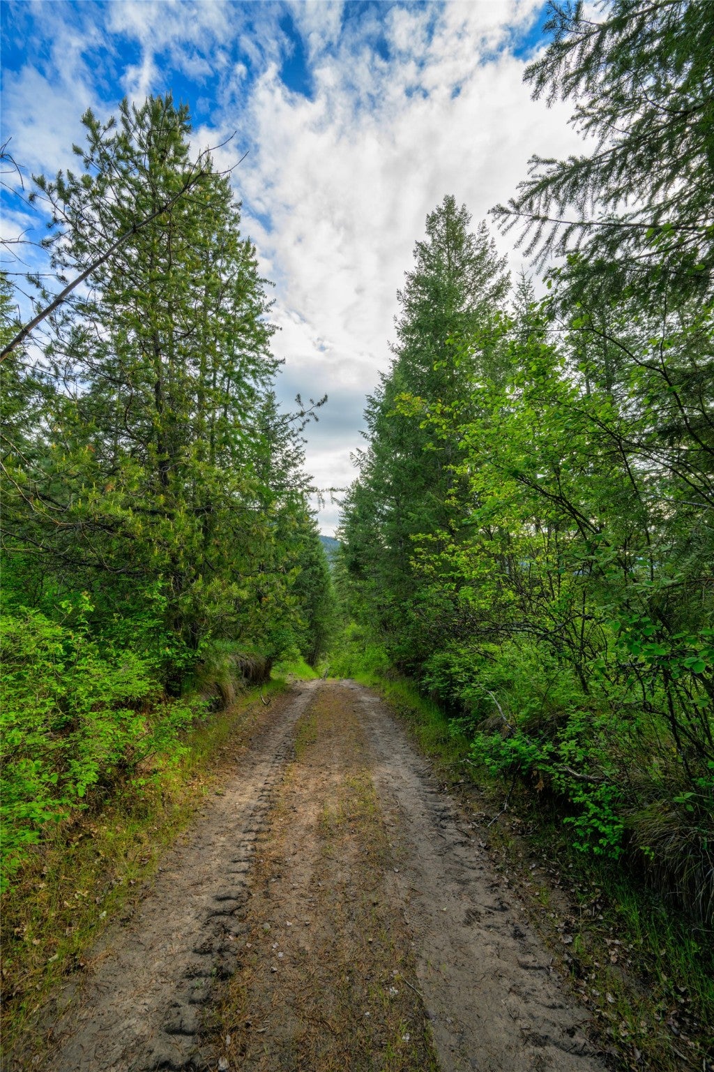 St Regis, Montana, 59866, United States, ,Land,For Sale,1848990