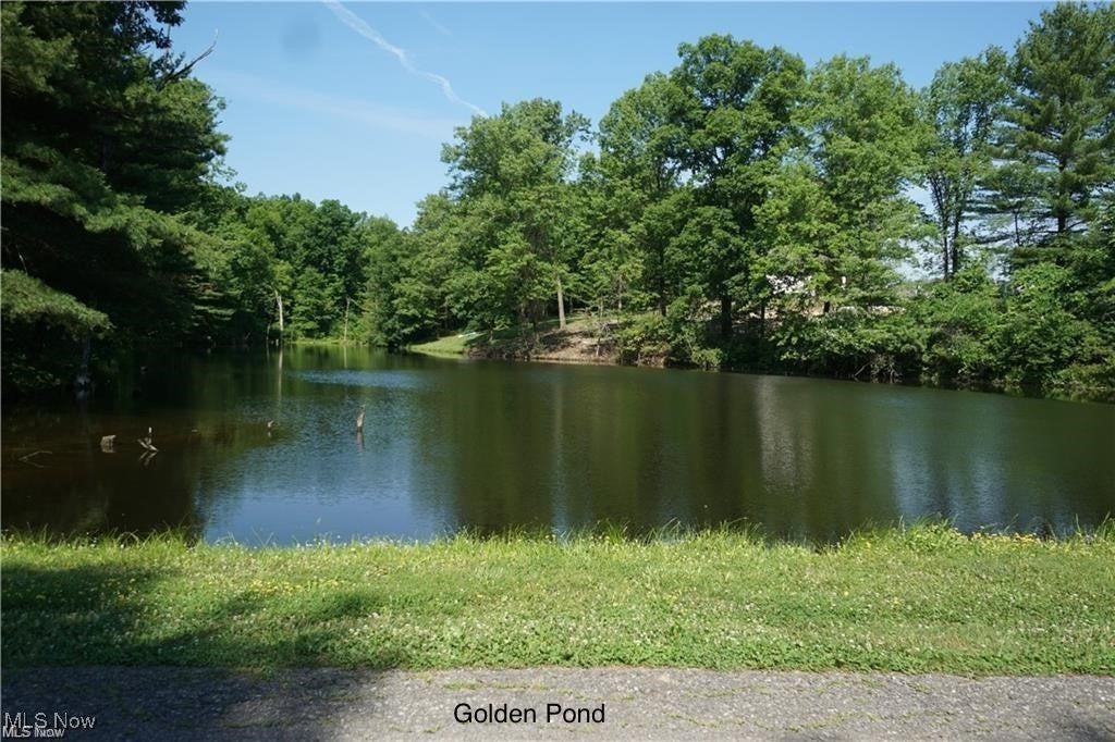 Canfield, Ohio, 44406, United States, 4 Bedrooms Bedrooms, ,3 BathroomsBathrooms,Residential,For Sale,2005733