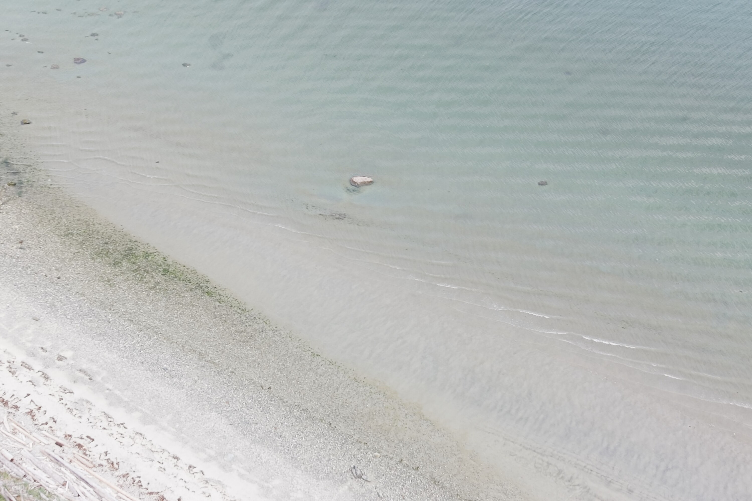  Savory Island Parcels - 物件實景