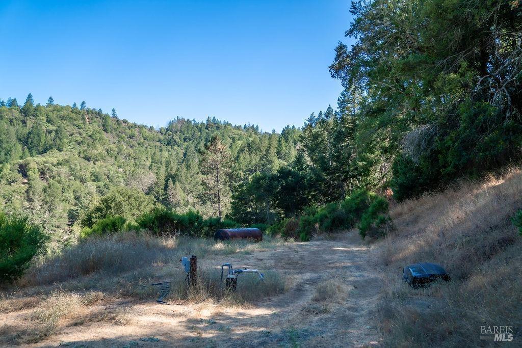 St. Helena, California, 94574, United States, ,Residential,For Sale,1846631