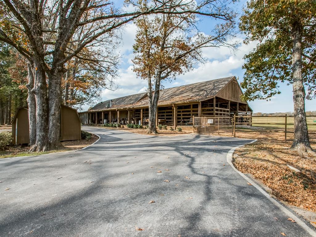 1370 Vzcr 4907, Ben Wheeler, Texas, 75754, United States, 11 Bedrooms Bedrooms, ,14 BathroomsBathrooms,Land,For Sale,1370 Vzcr 4907,1663895