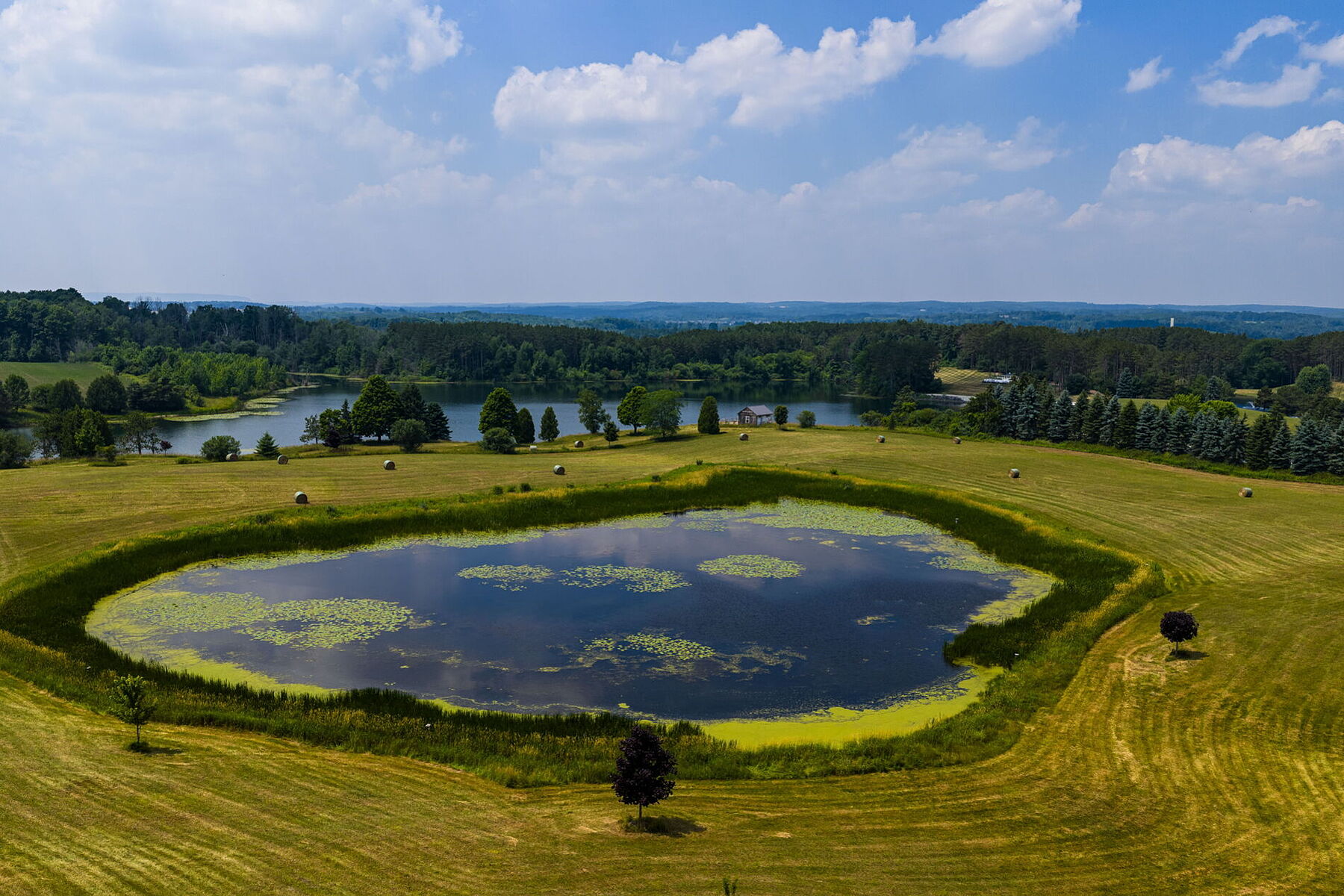  96-acre Farm Estate - 物件實景