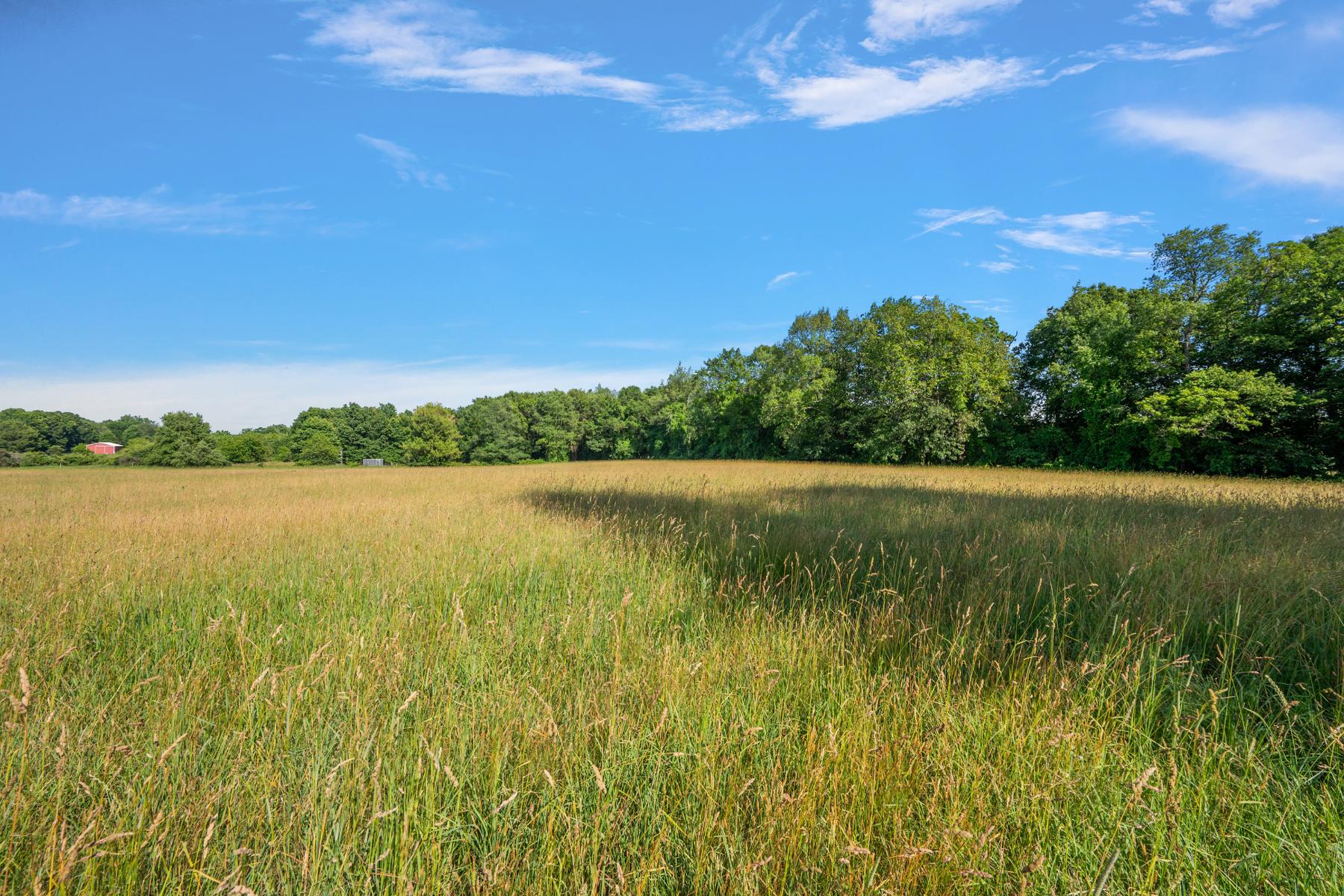  Groveland Township - 物件實景