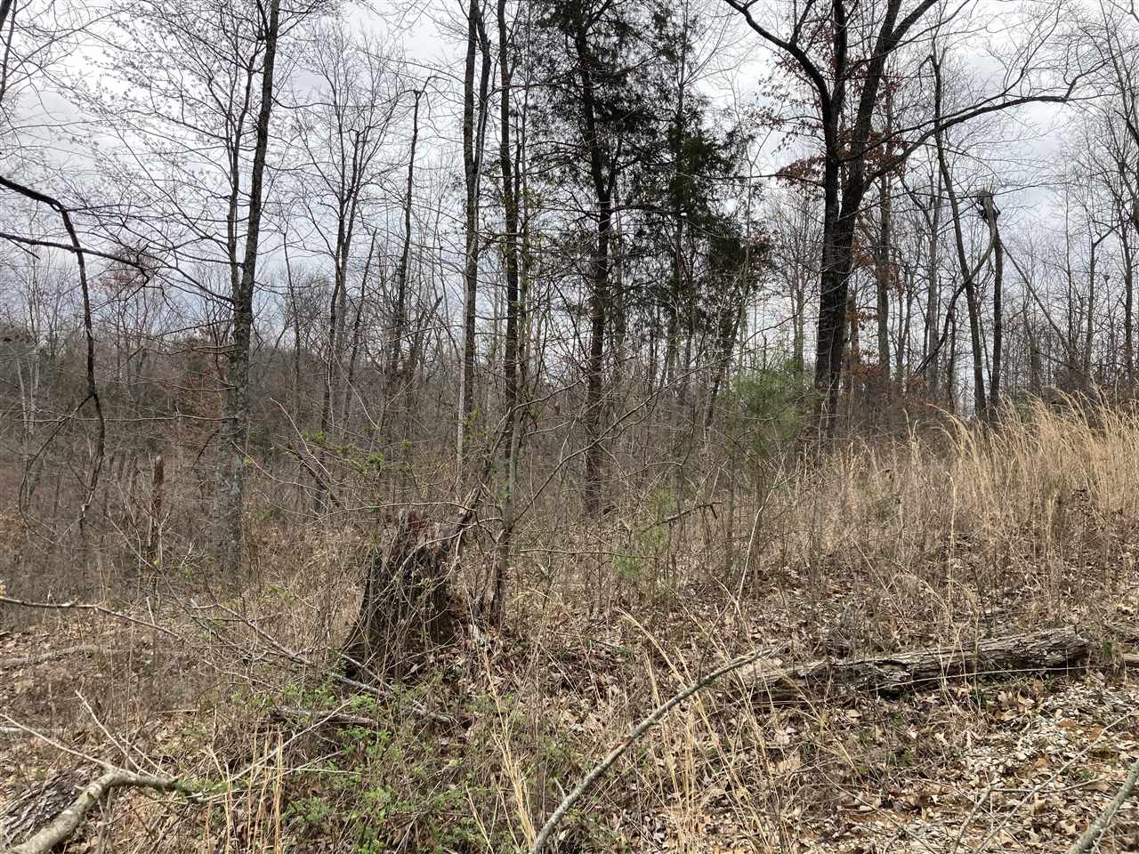 Clarkson, Kentucky, 42726, United States, ,Land,For Sale,1828562