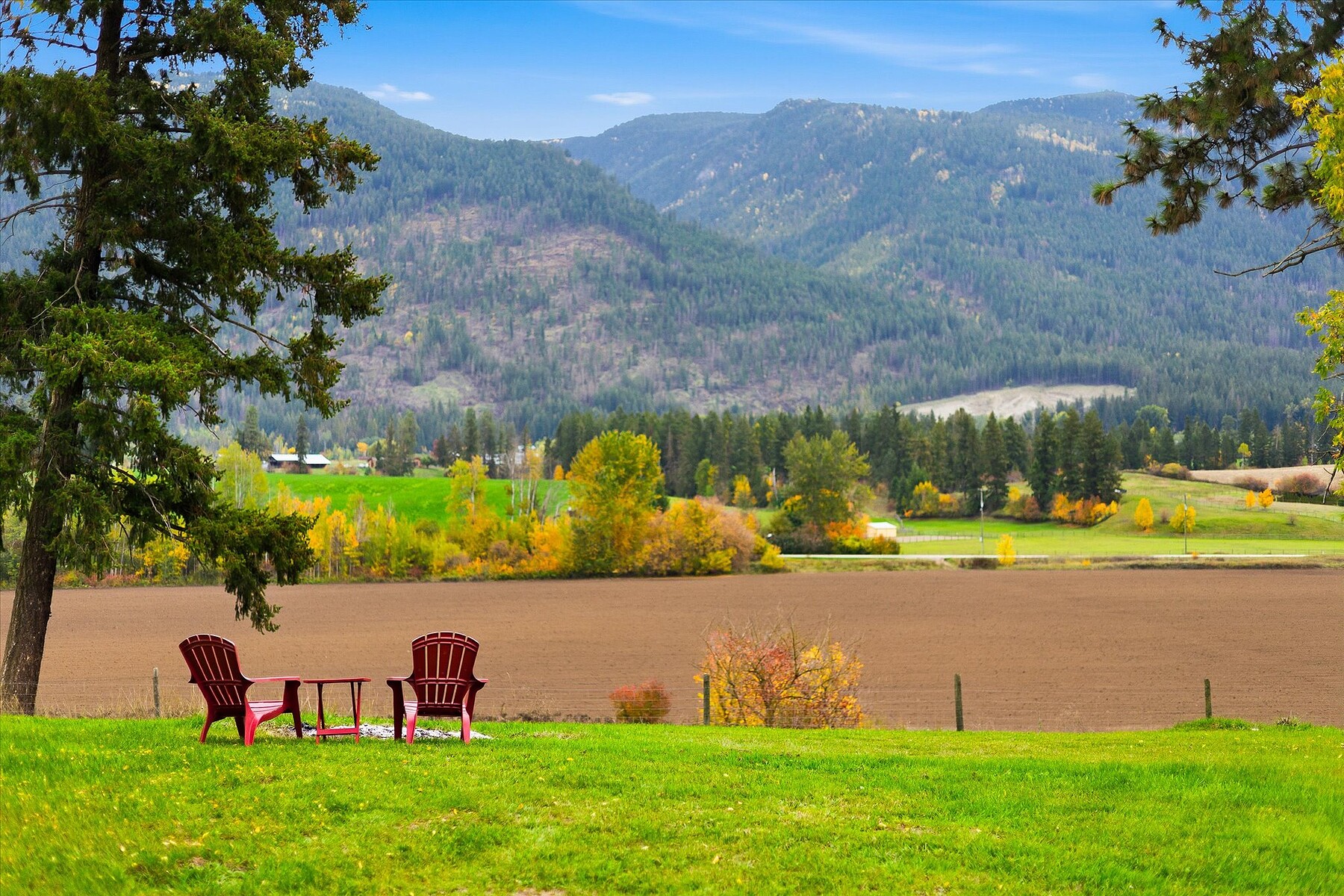  Exceptional Country Living - 物件實景