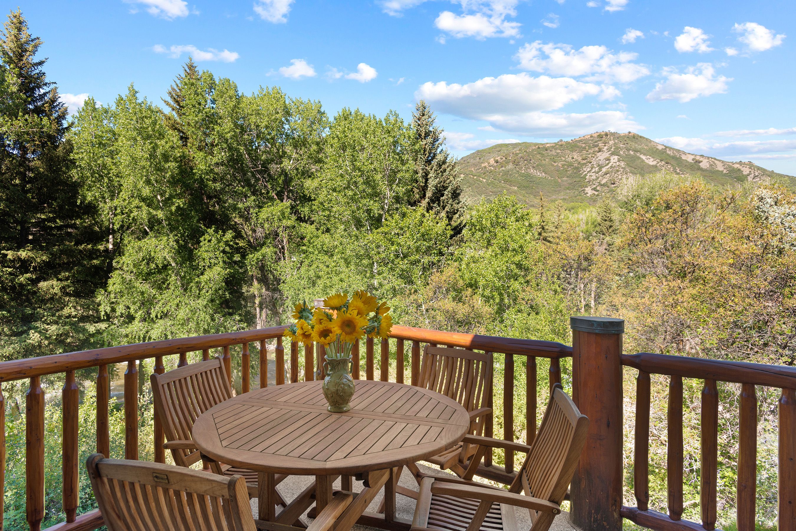  Sanctuary on The Roaring Fork River - 物件實景