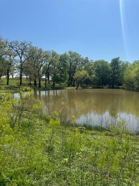 Mansfield, Texas, 76063, United States, 4 Bedrooms Bedrooms, ,2 BathroomsBathrooms,Residential,For Sale,1951399