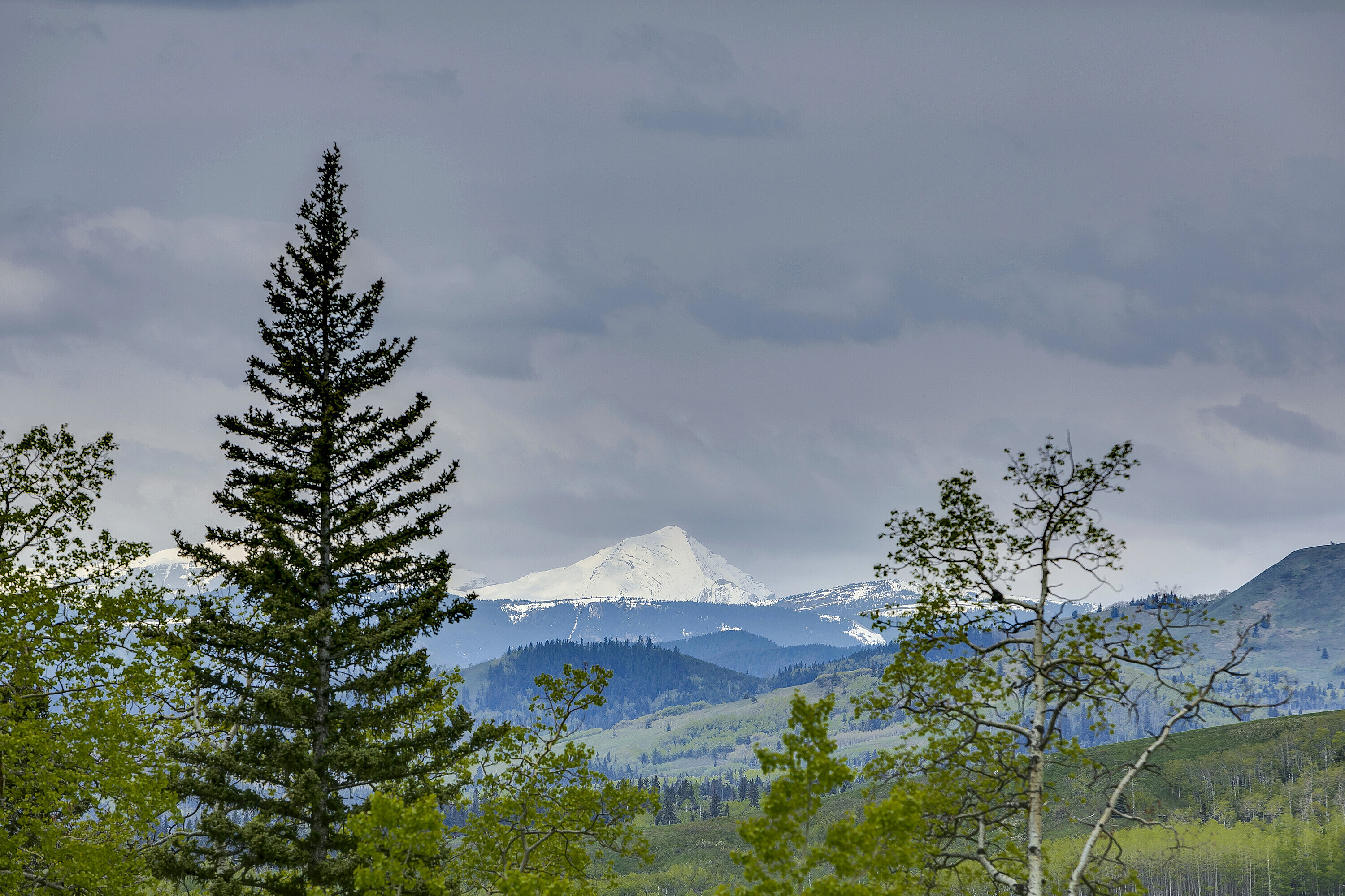  Rural Foothills County, Calgary and Foothills - 物件實景