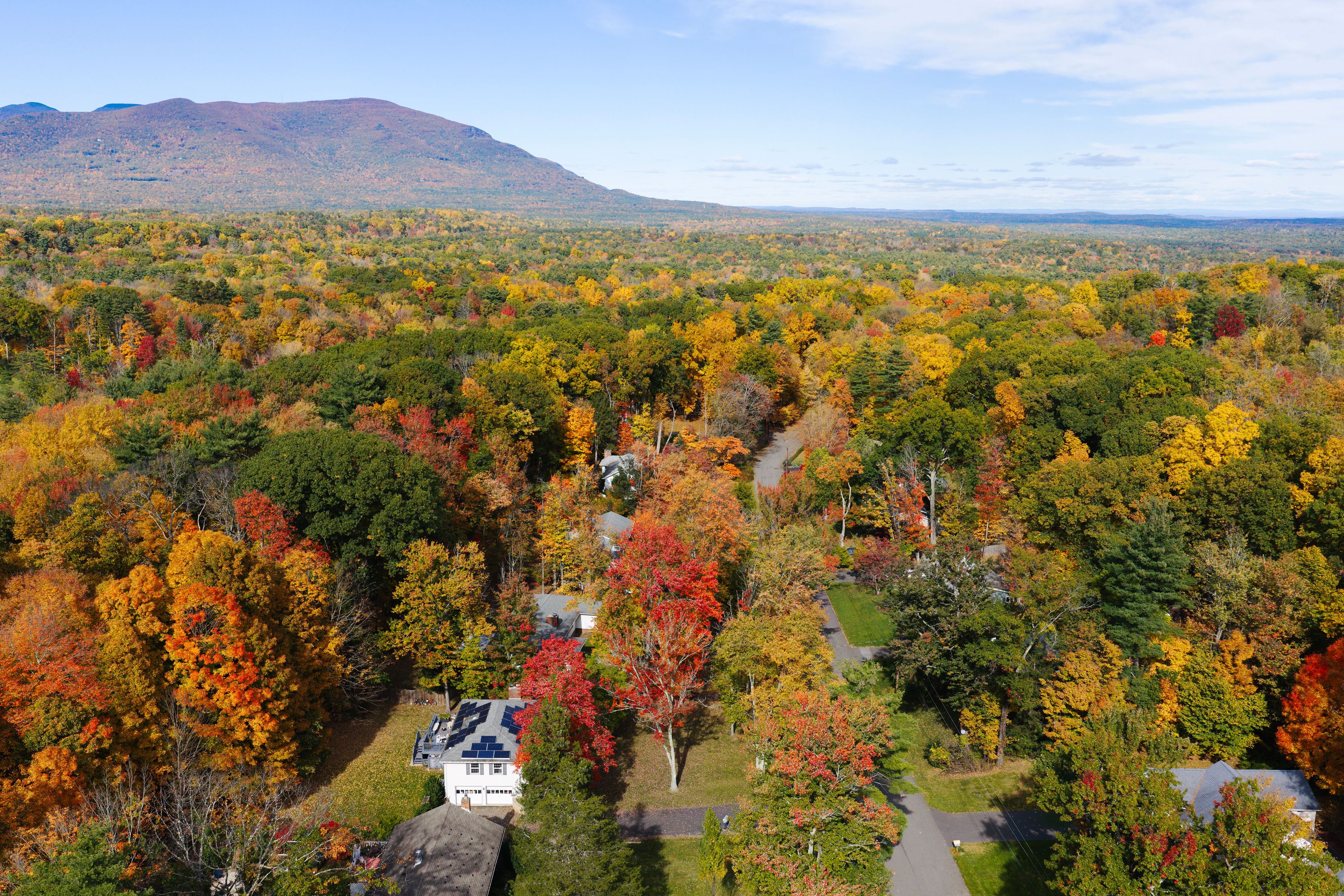  7 Birch Street, West Hurley, NY 12491 - 物件實景