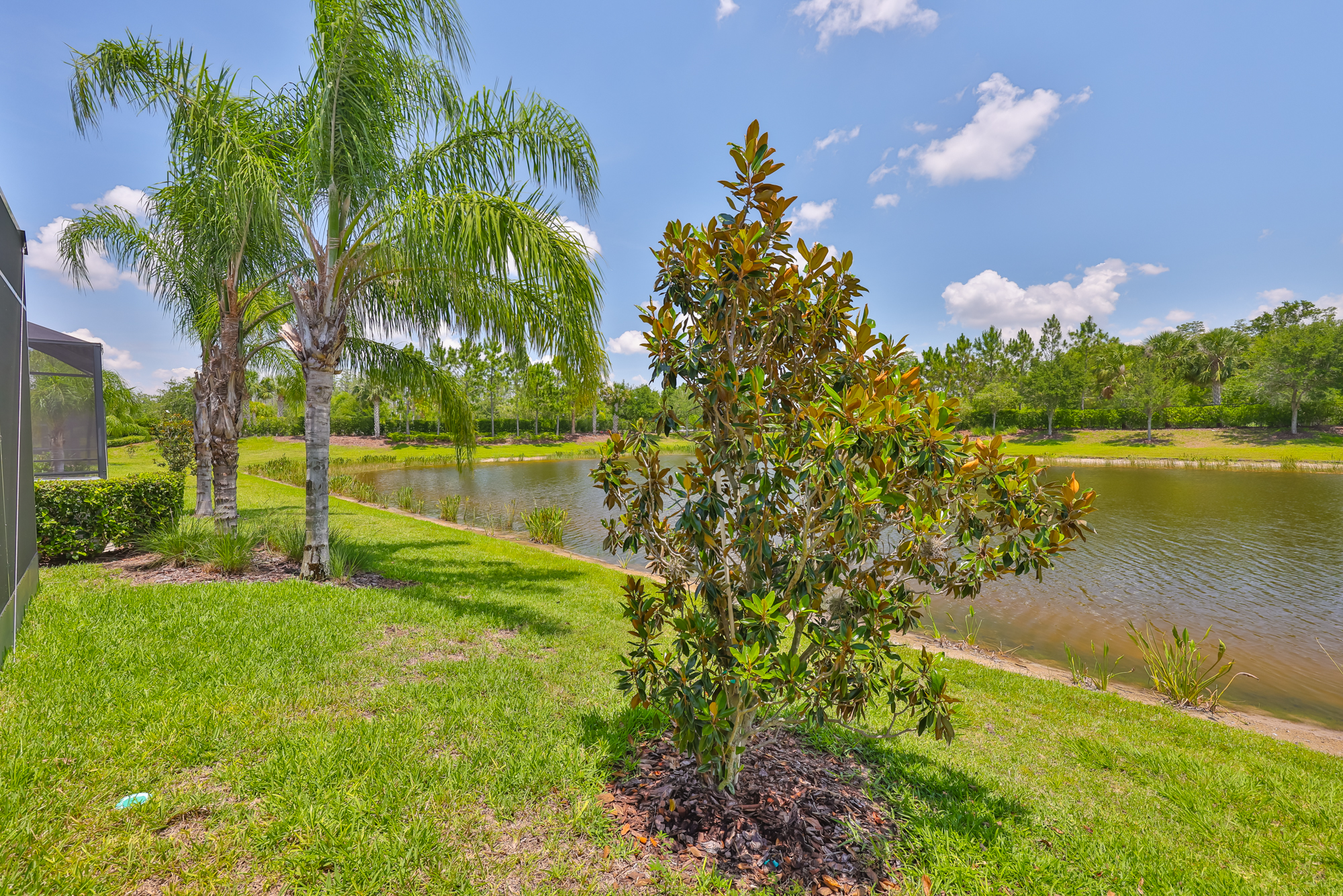 Wimauma, Florida, 33598, United States, 3 Bedrooms Bedrooms, ,3 BathroomsBathrooms,Residential,For Sale,1982600