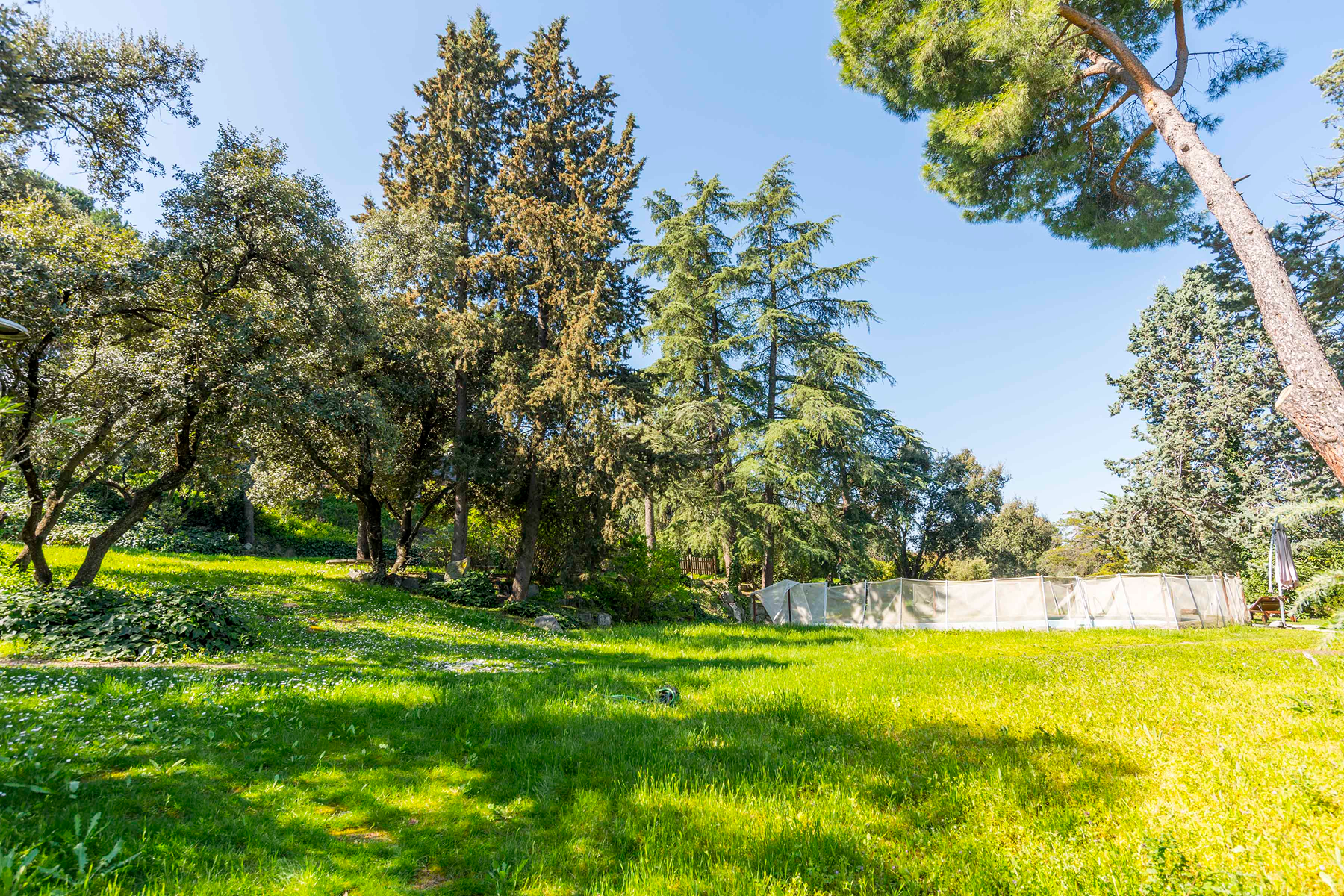  Wonderful hectare plot in La Moraleja - 物件實景