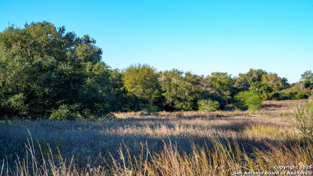 Yoakum, Texas, 77995, United States, ,Land,For Sale,1988104
