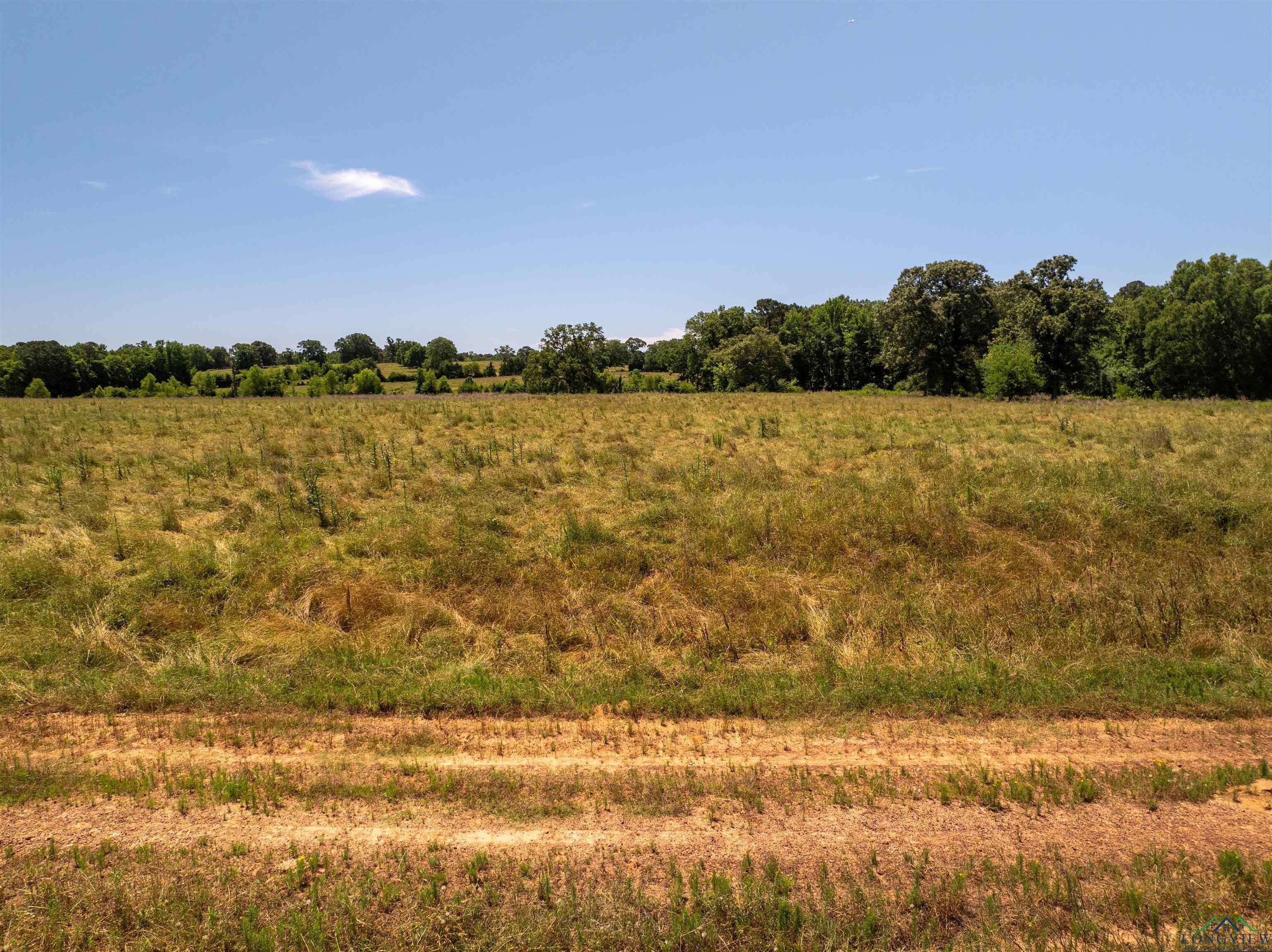 7557 FM 248, Lodi, Texas, 75564, United States, ,Residential,For Sale,7557 FM 248,1614560