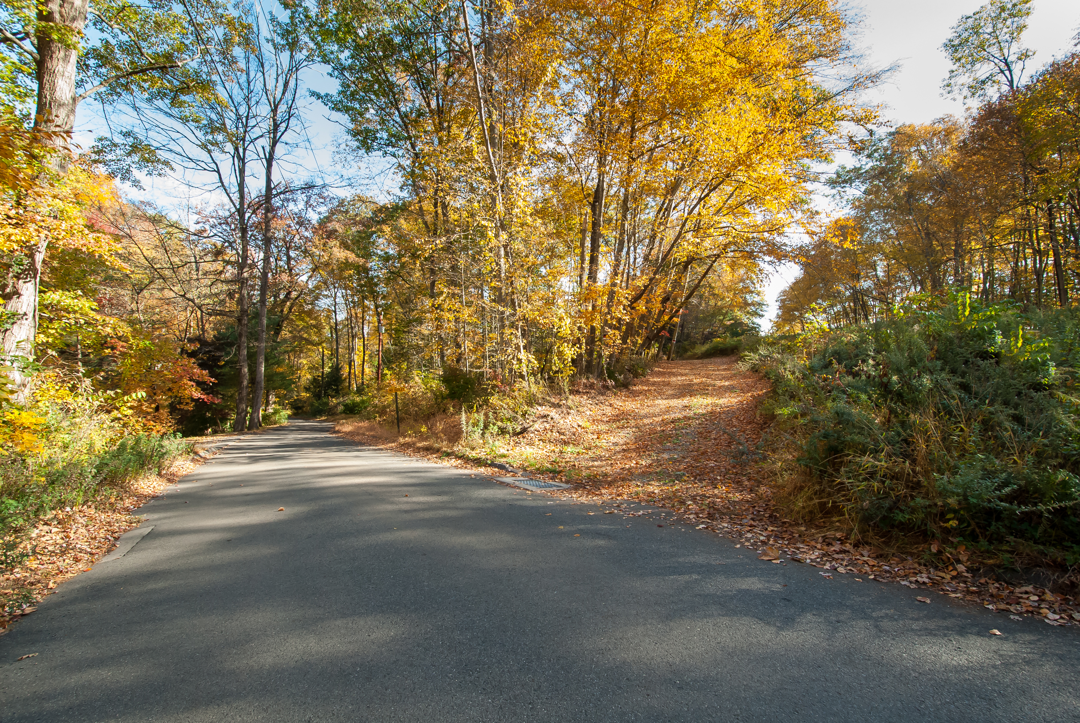  Nestled in the Hills of Southbury - 物件實景