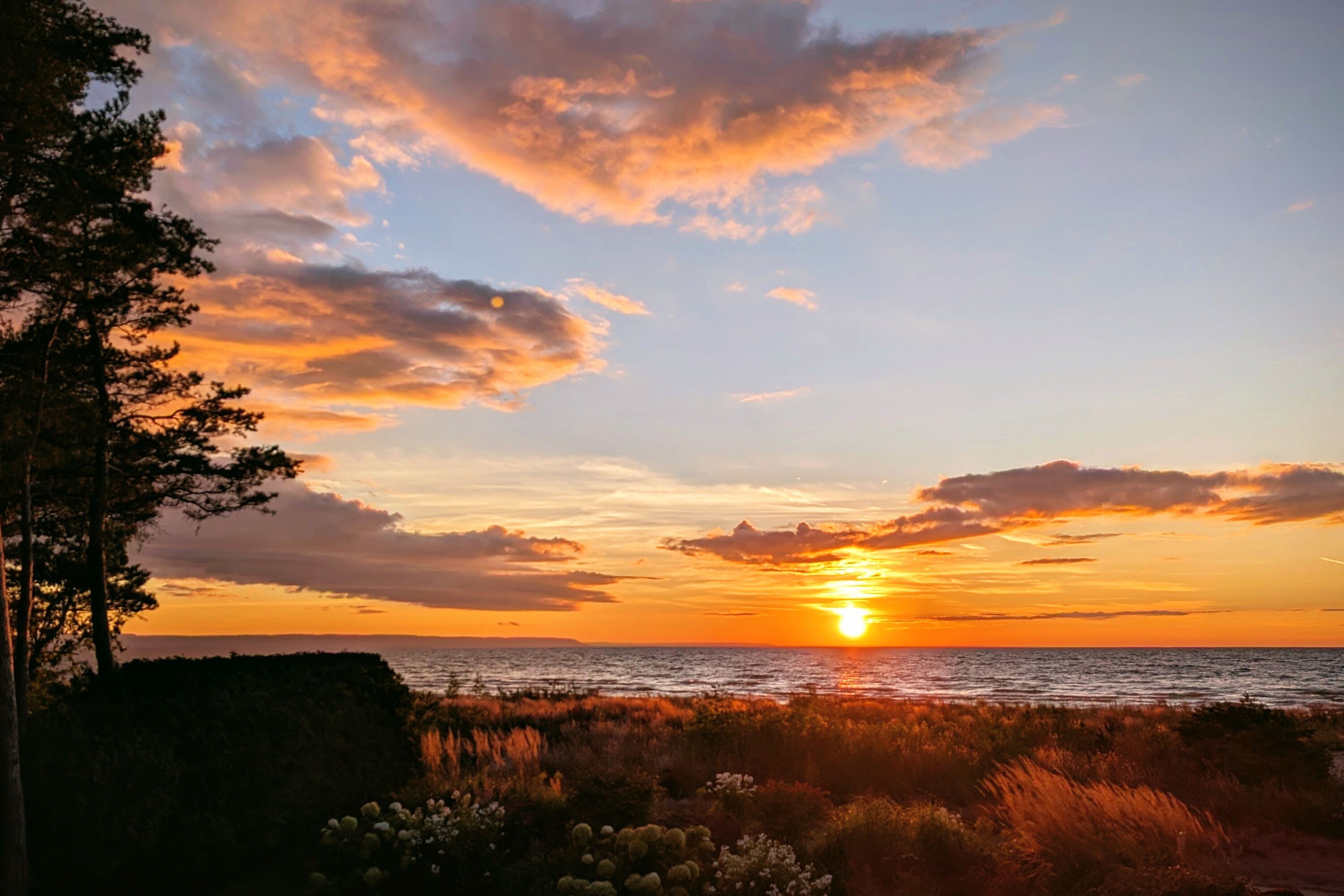  Iconic Wasaga Beach Shoreline - 物件實景