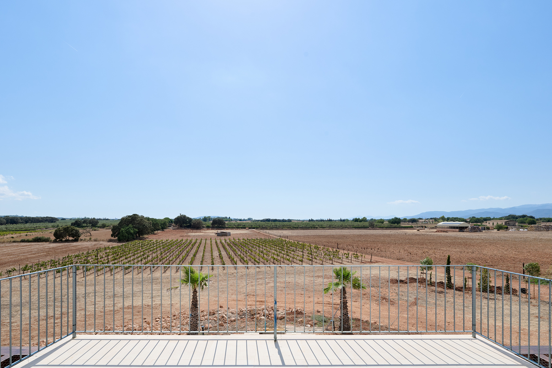  Contemporary estate with guest apartment and vineyard in Inca - 物件實景