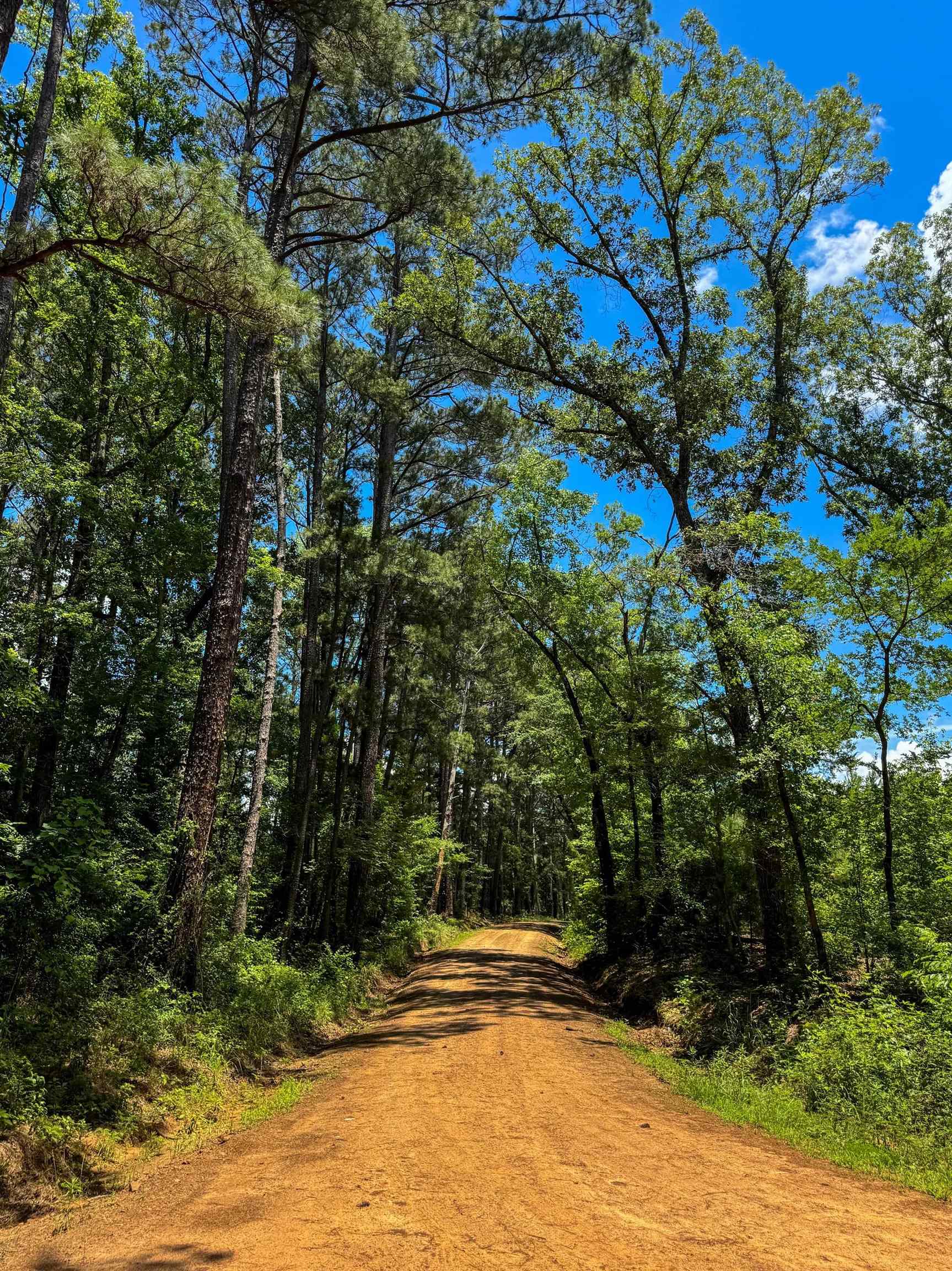 Douglassville, Texas, 75560, United States, ,Land,For Sale,2048006