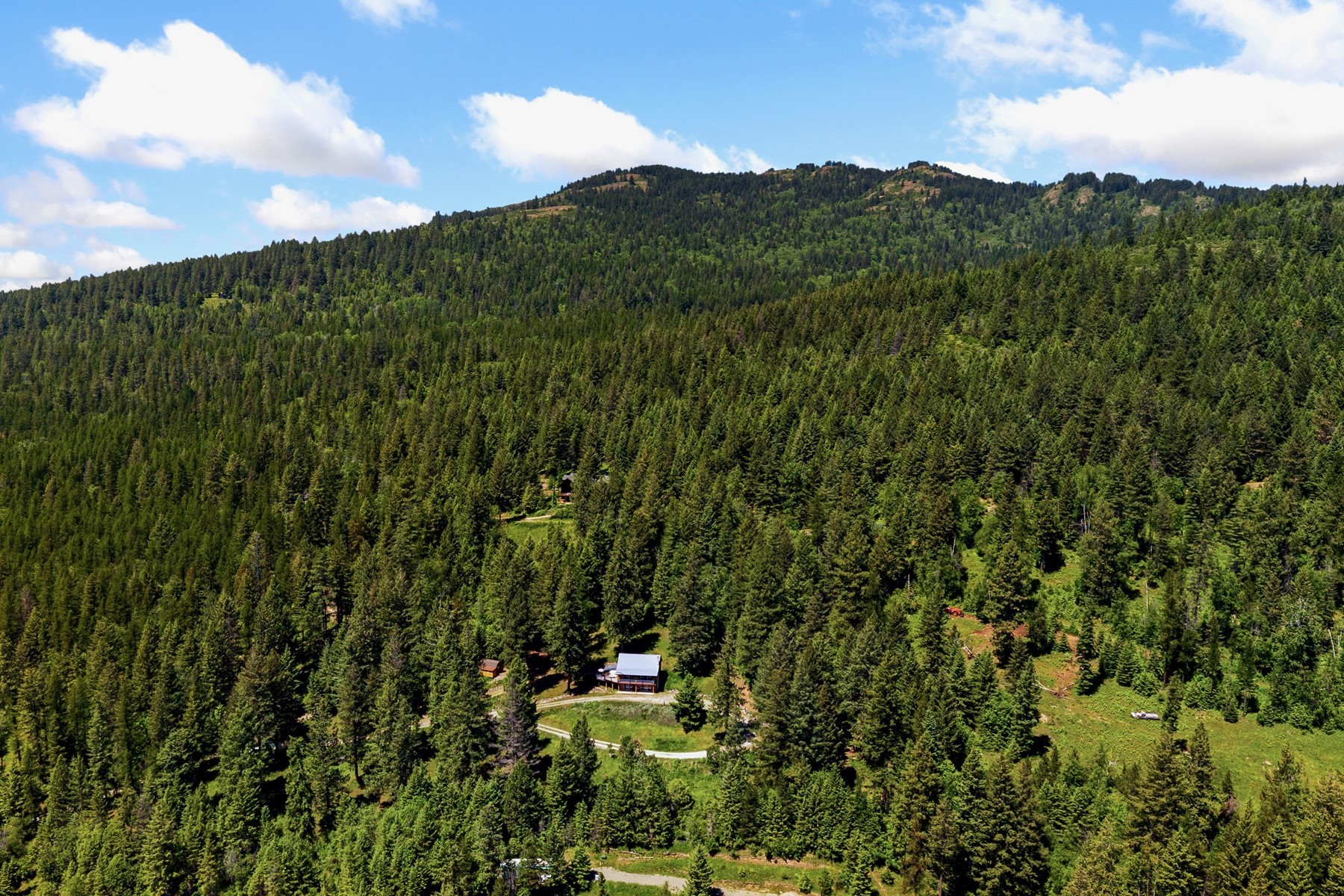  185 Larchwood Dr - 物件實景