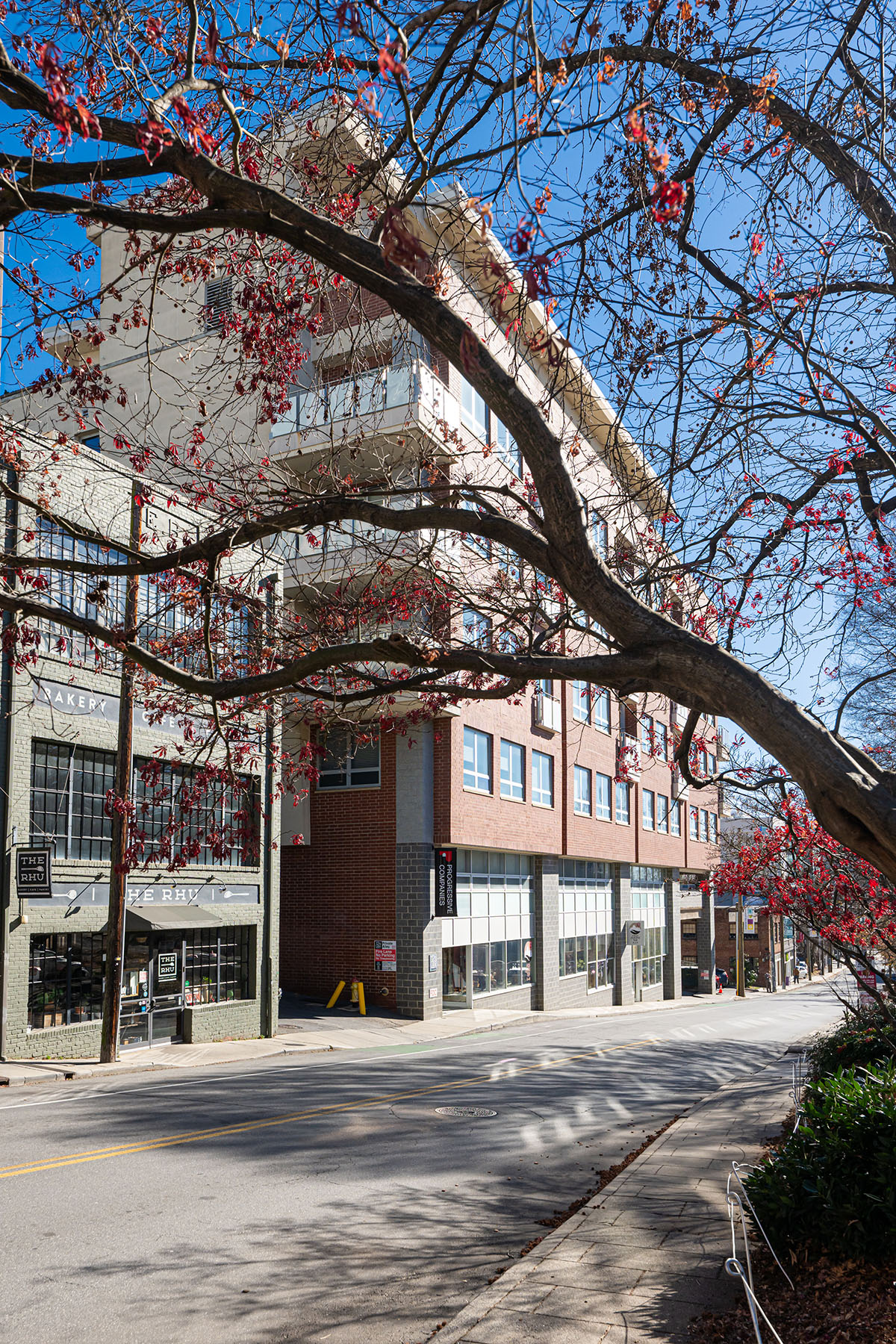  ASHEVILLE - 物件實景