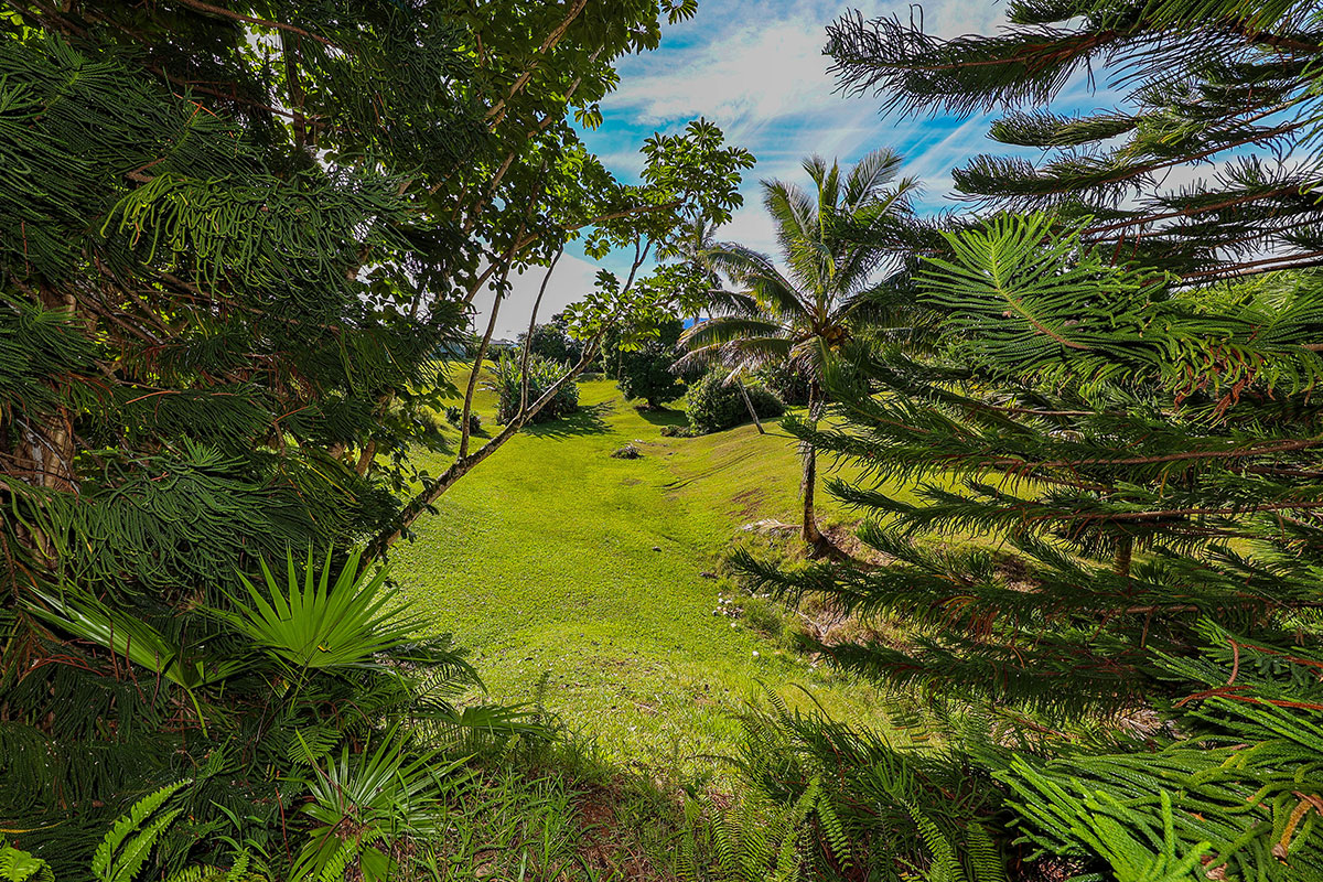 6828-B KUAMOO RD 2, Kapaa, Hawaii, 96746, United States, ,Land,For Sale,6828-B KUAMOO RD 2,1672725