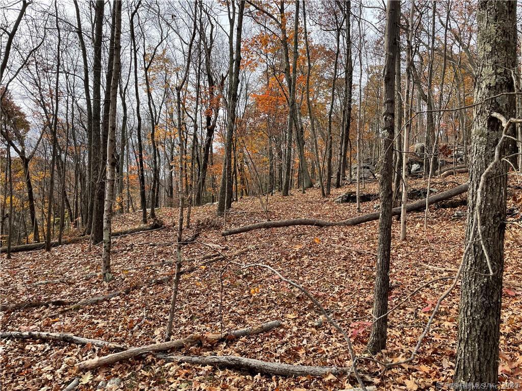 New Fairfield, Connecticut, 06812, United States, ,Residential,For Sale,1986113